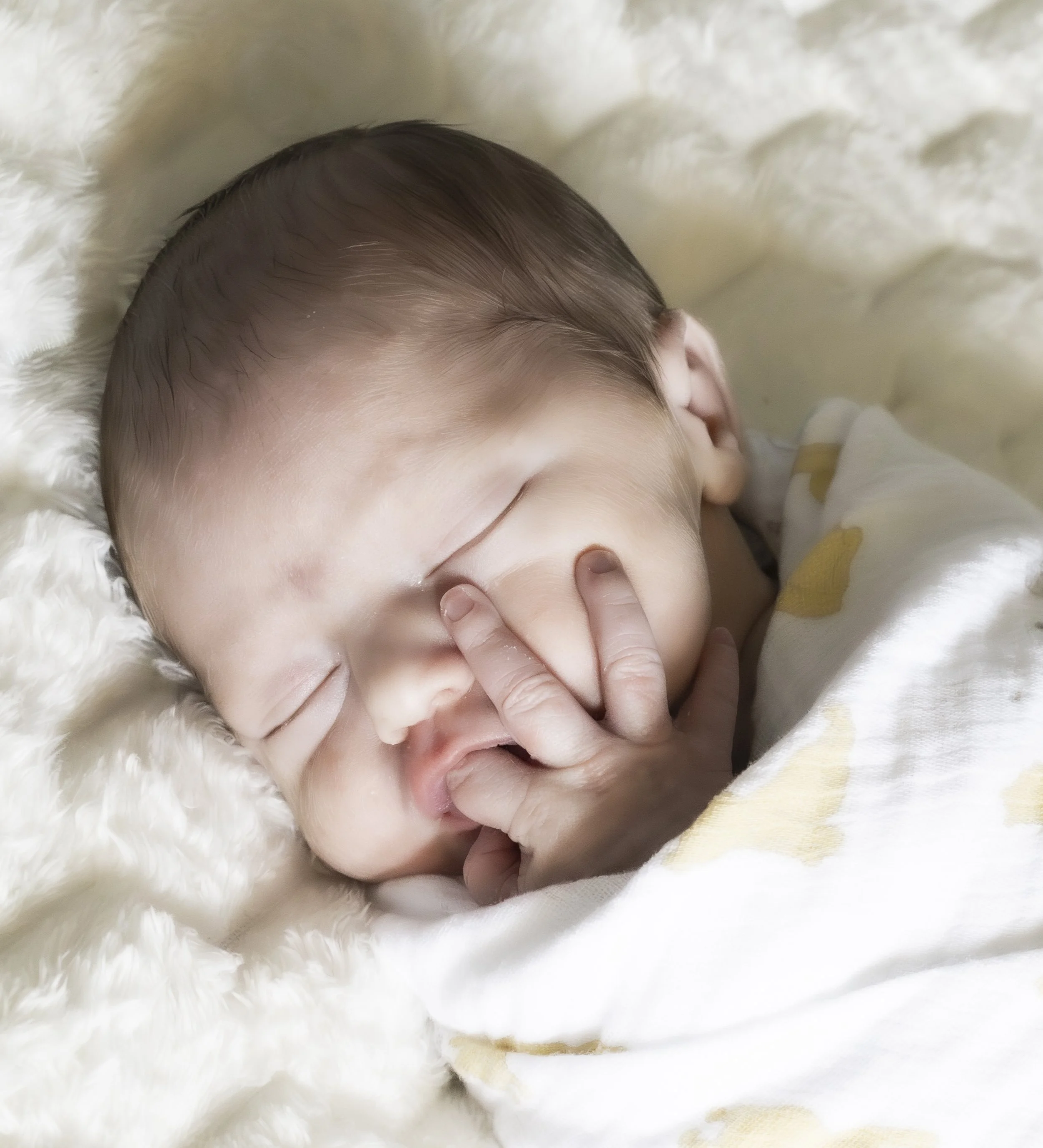 Newborn Moments Session | PS Photography | Sun Prairie, WI