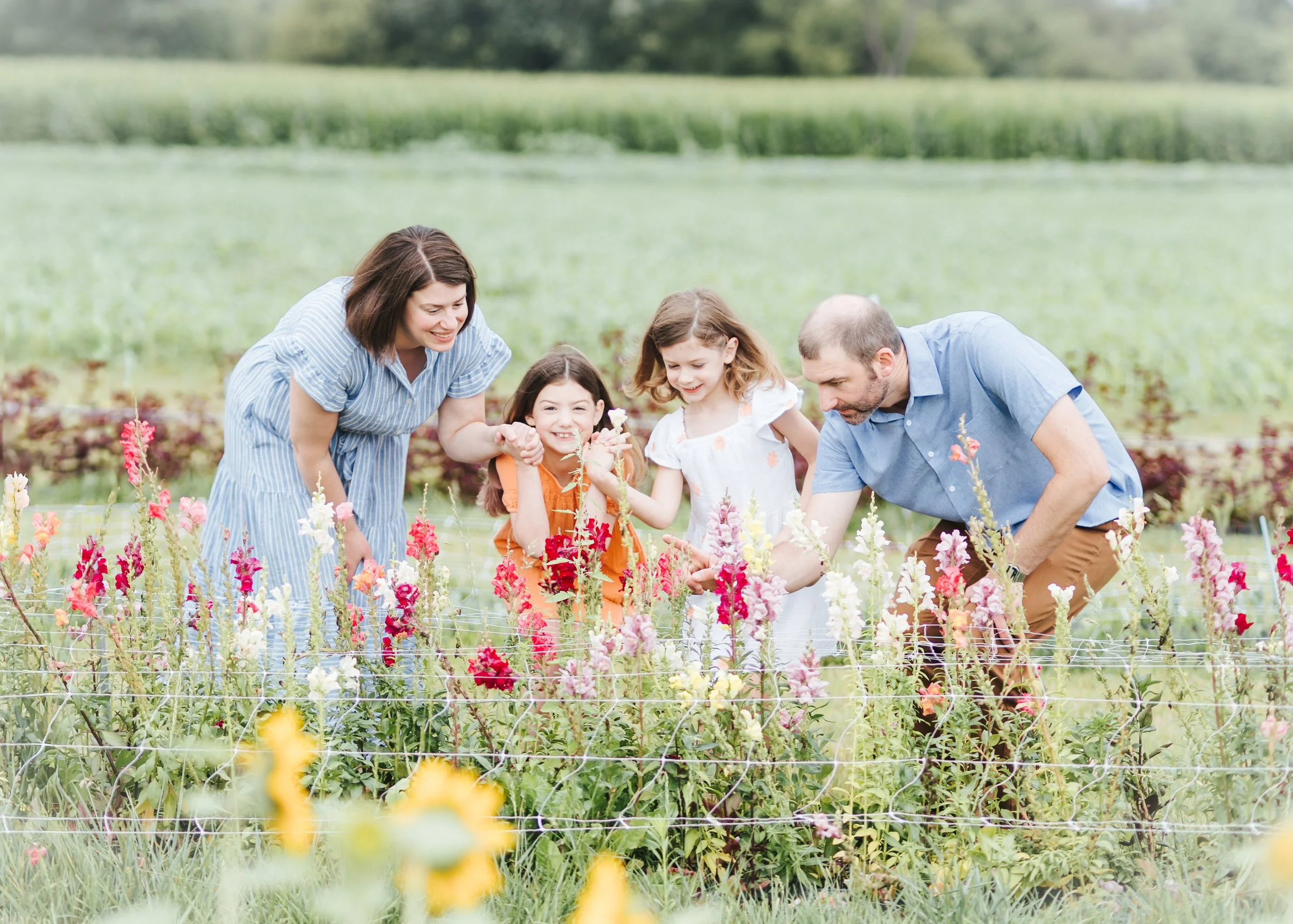 Family Photography session in Sun Prairie WI