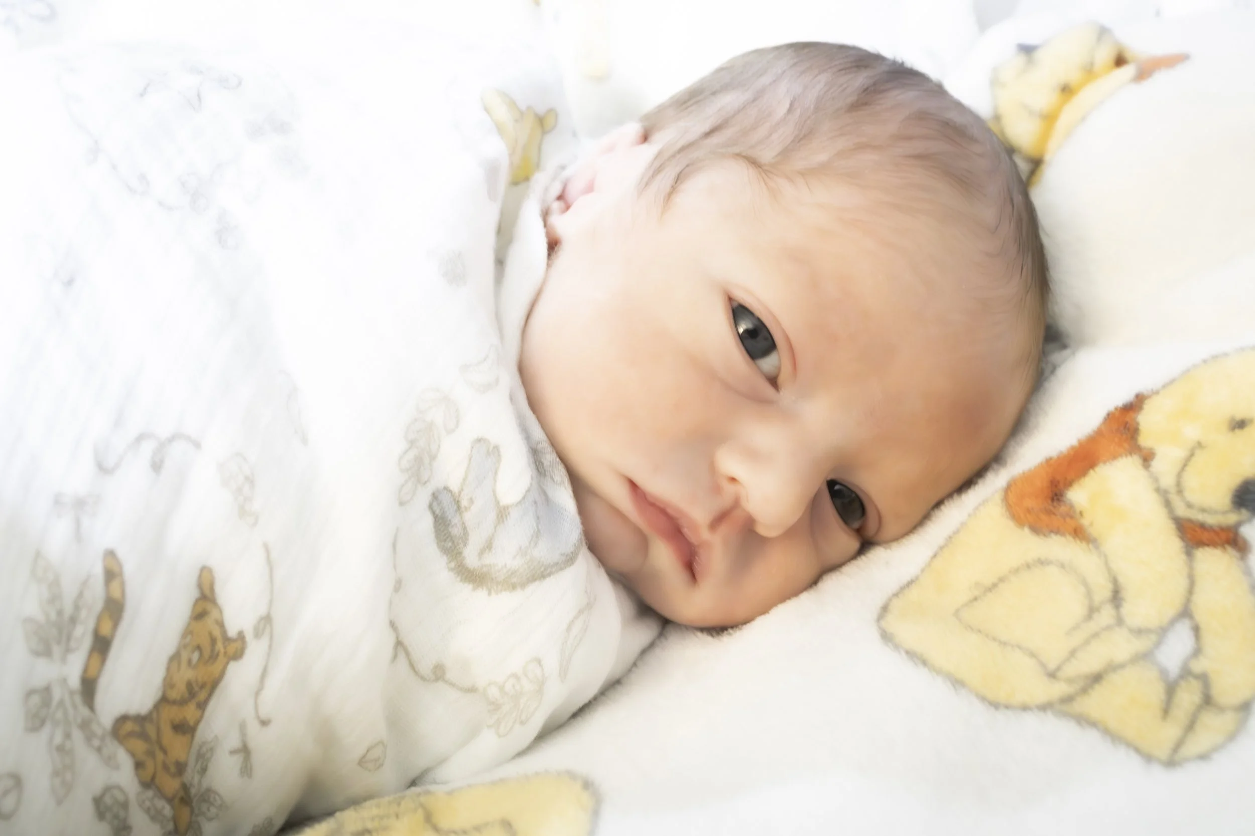 Baby Erk-20.jpg
