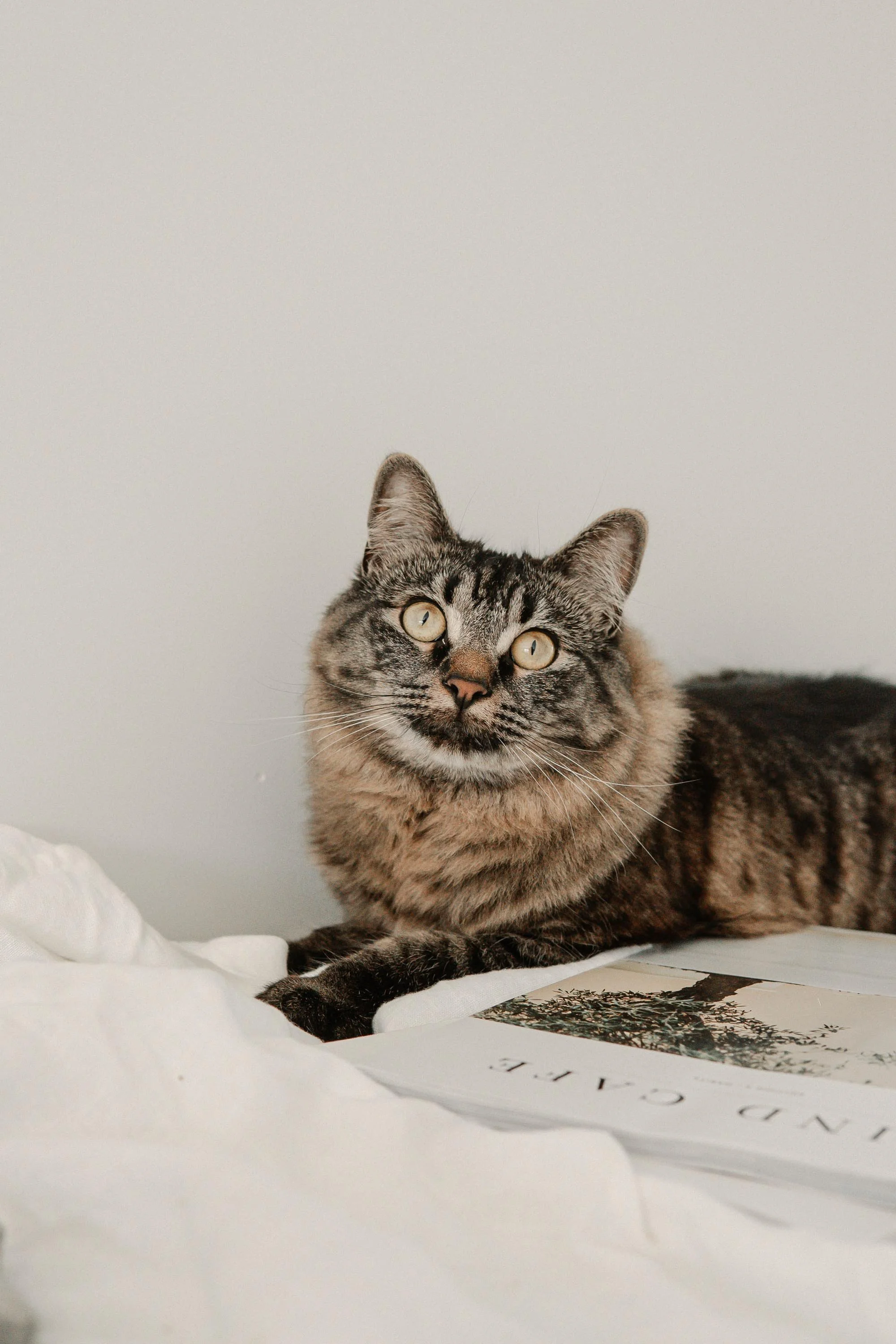 Squarespace Template Life Coach Healer Iris-71.jpg