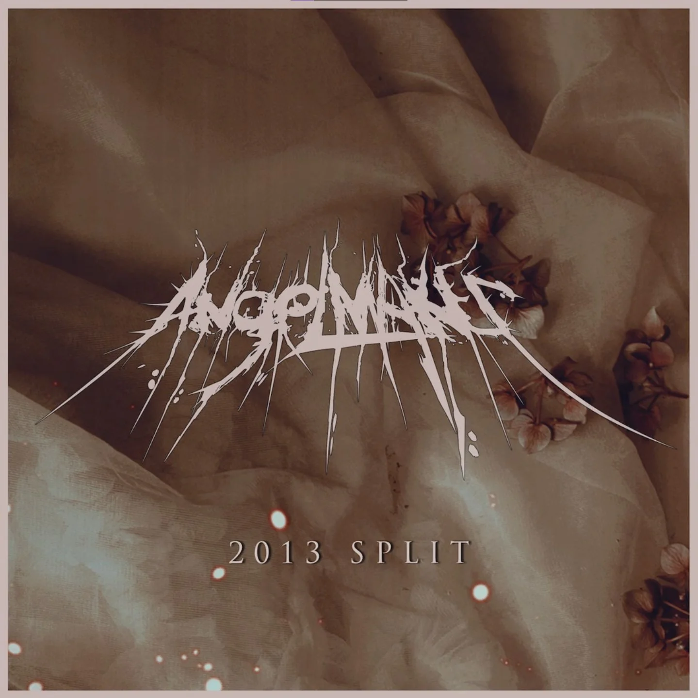 Album cover with a brown, textured fabric background, dried flower petals, the band name 'ANATOMAGES' in a jagged, metallic font, and the title '2013 SPLIT' in smaller, white text.