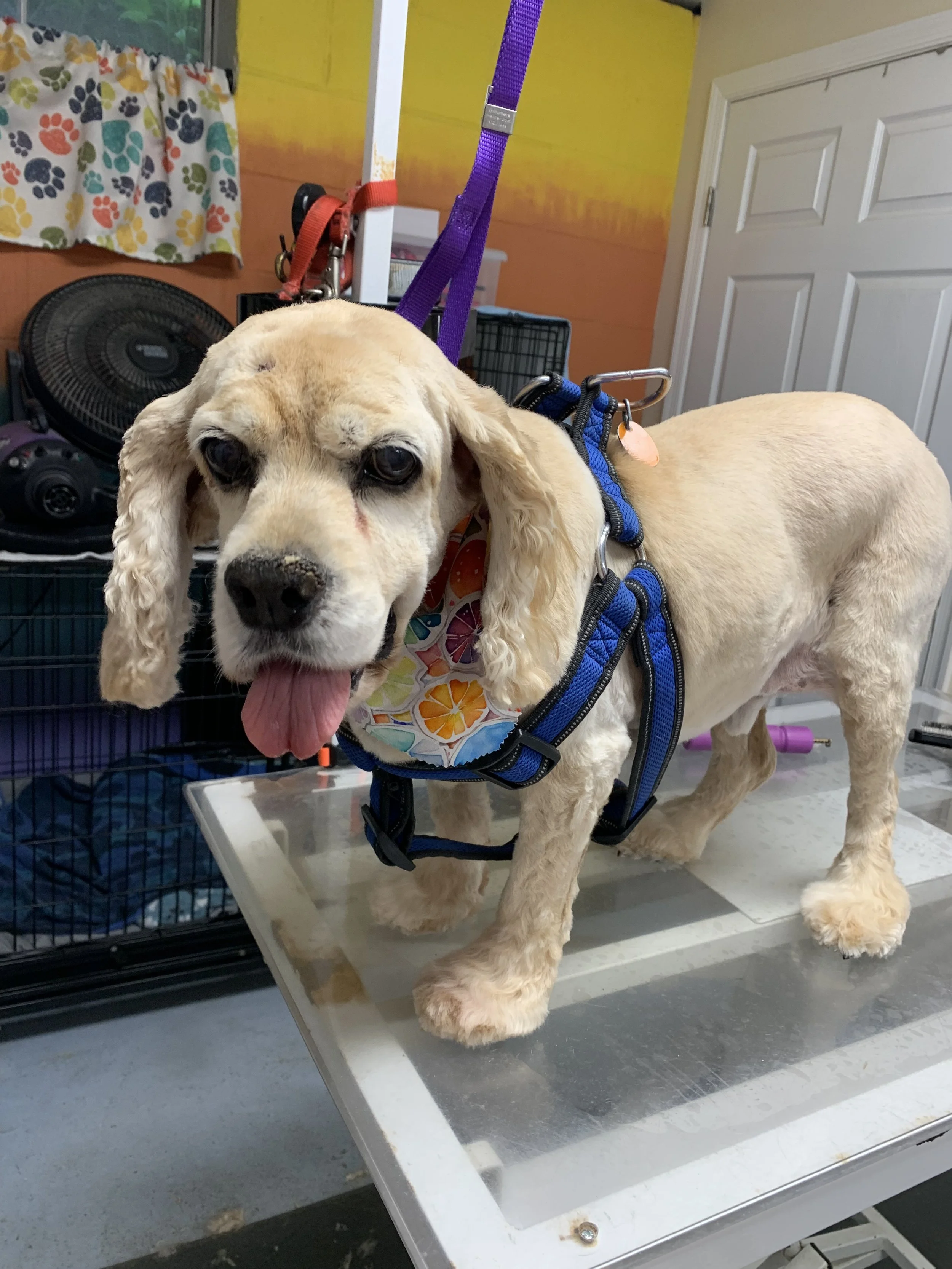 IMG_7727 - Copy.jpeg