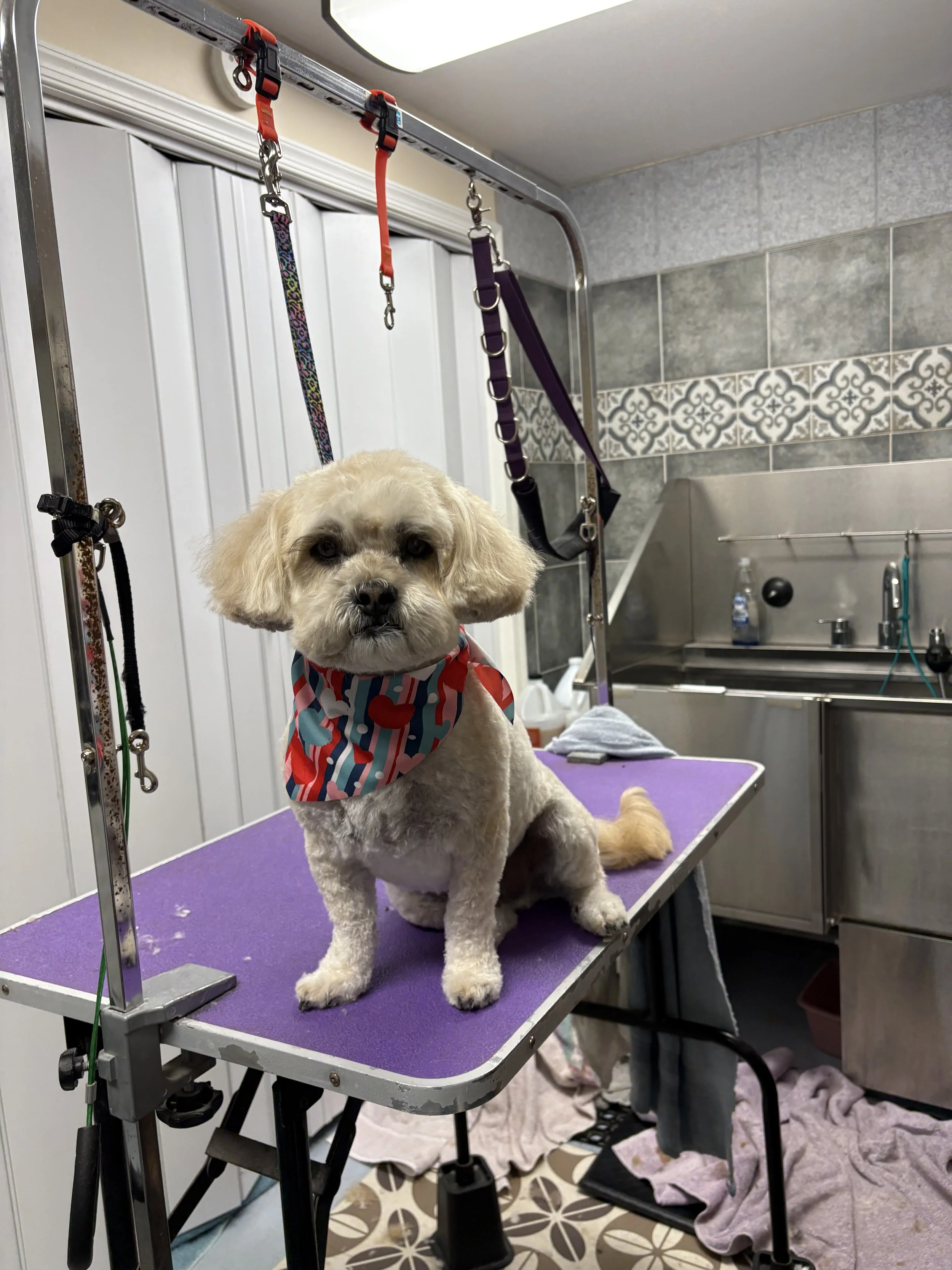 IMG_9219 - Copy.jpeg