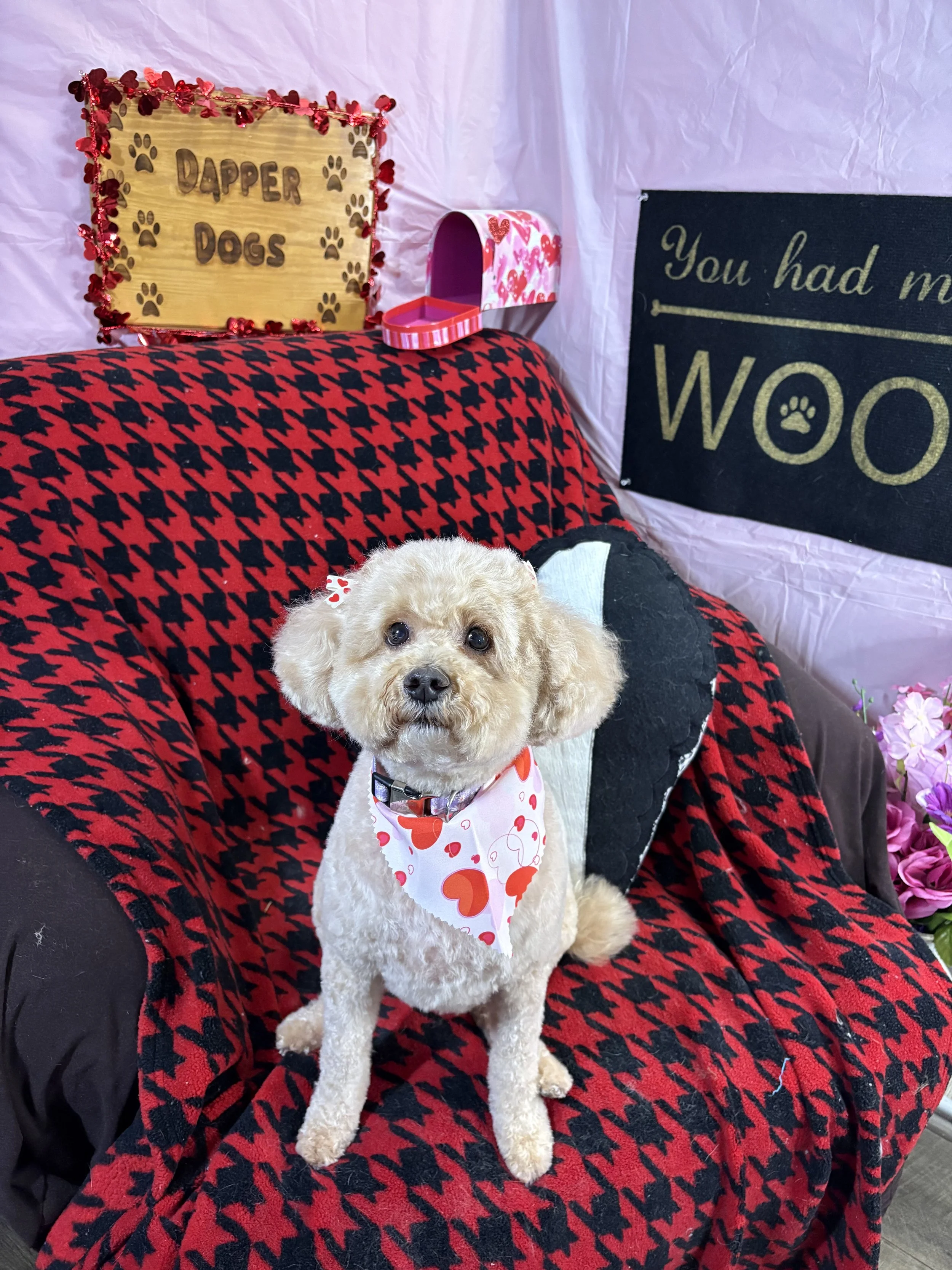 IMG_9256 - Copy.jpeg