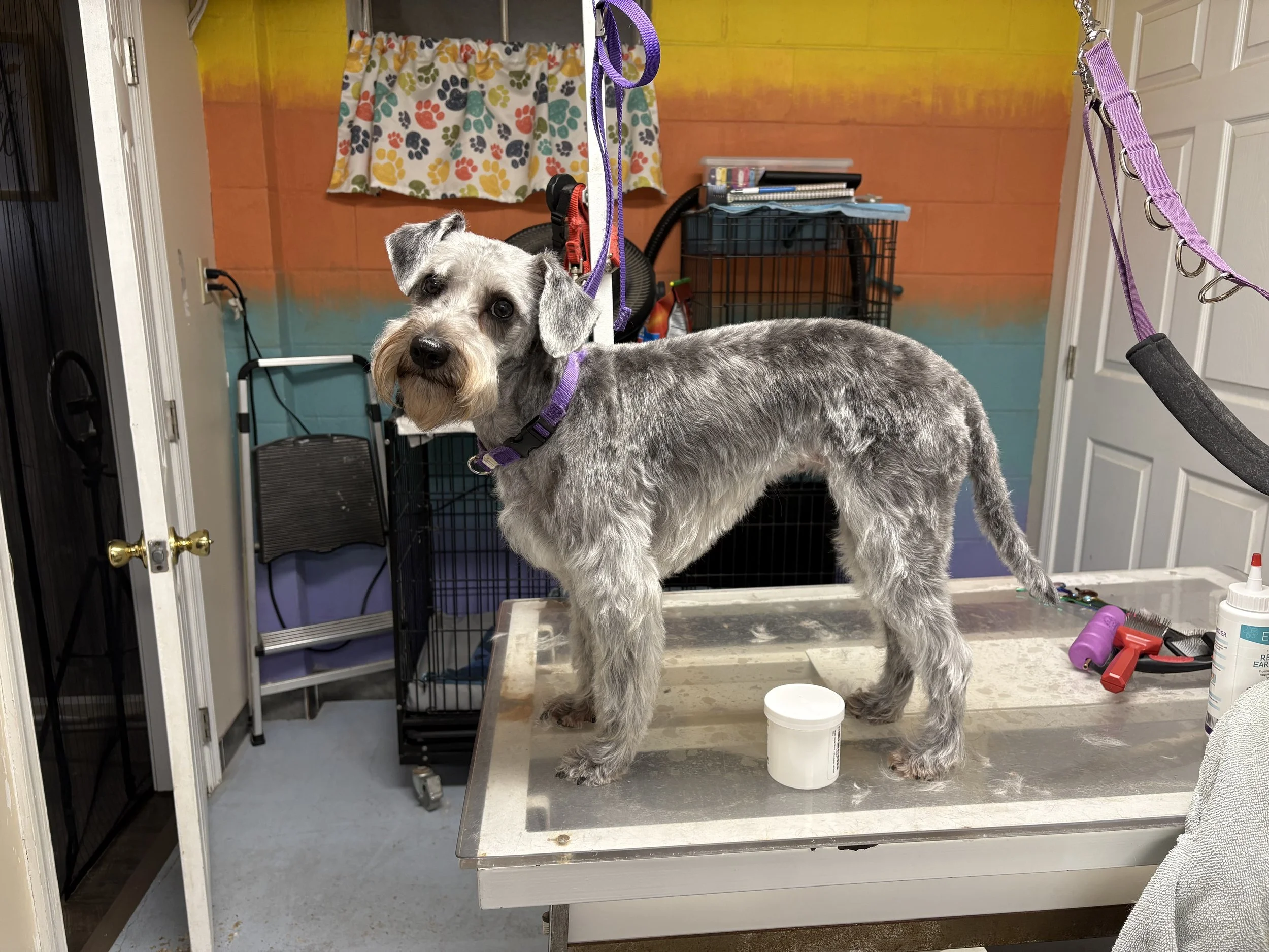 IMG_8676 - Copy.jpeg