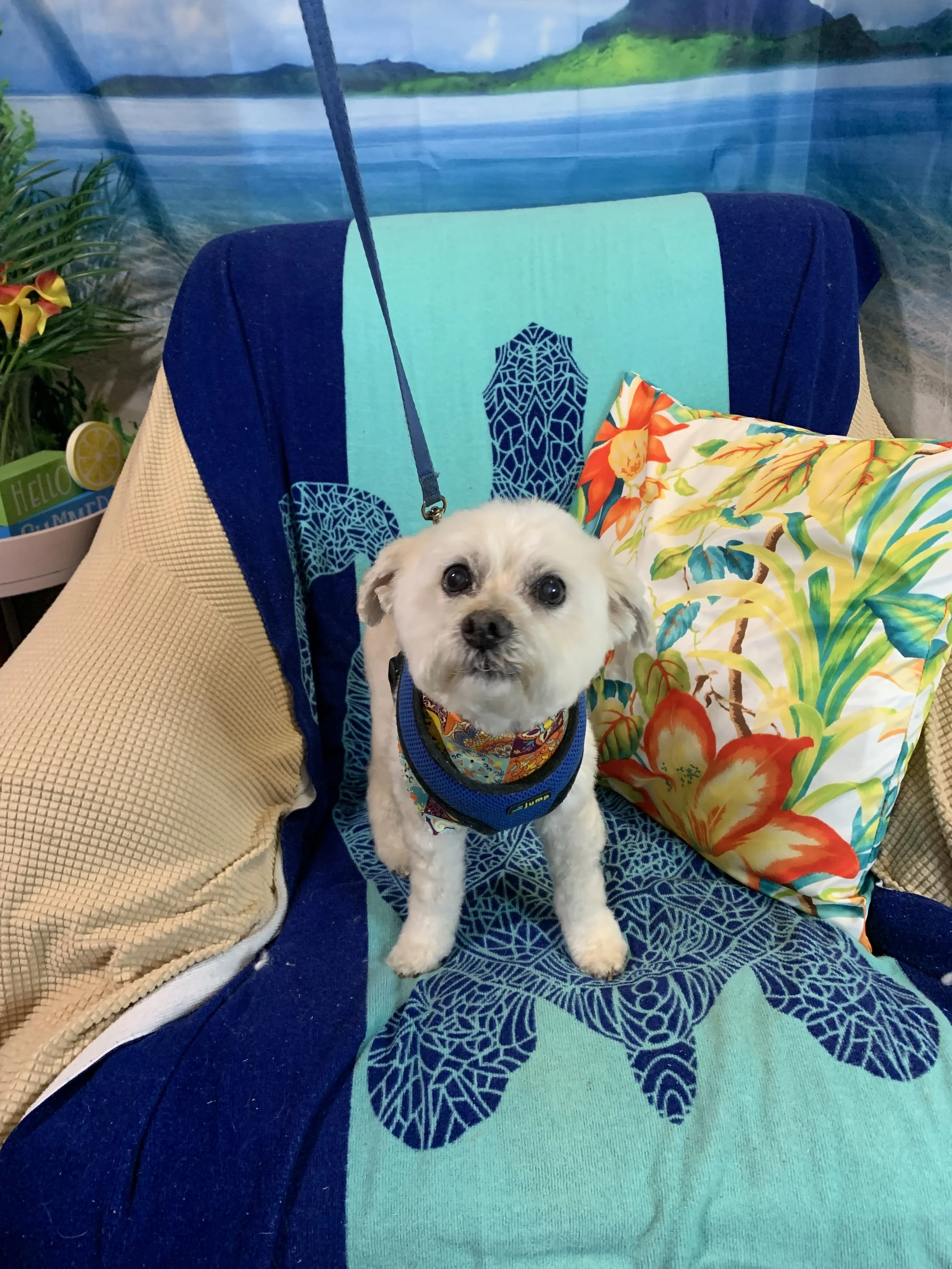 IMG_8021 - Copy.jpeg