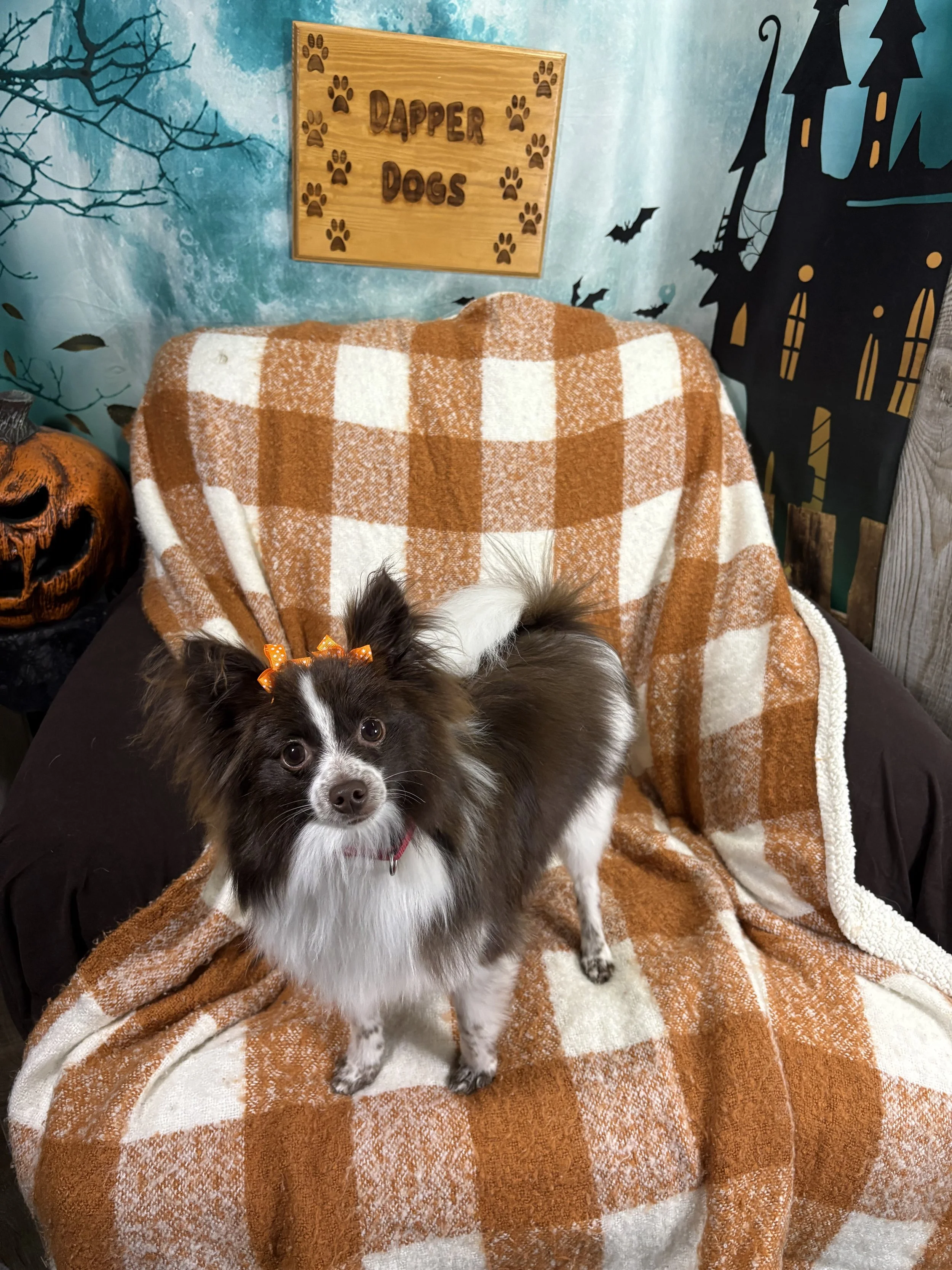 IMG_8618 - Copy.jpeg