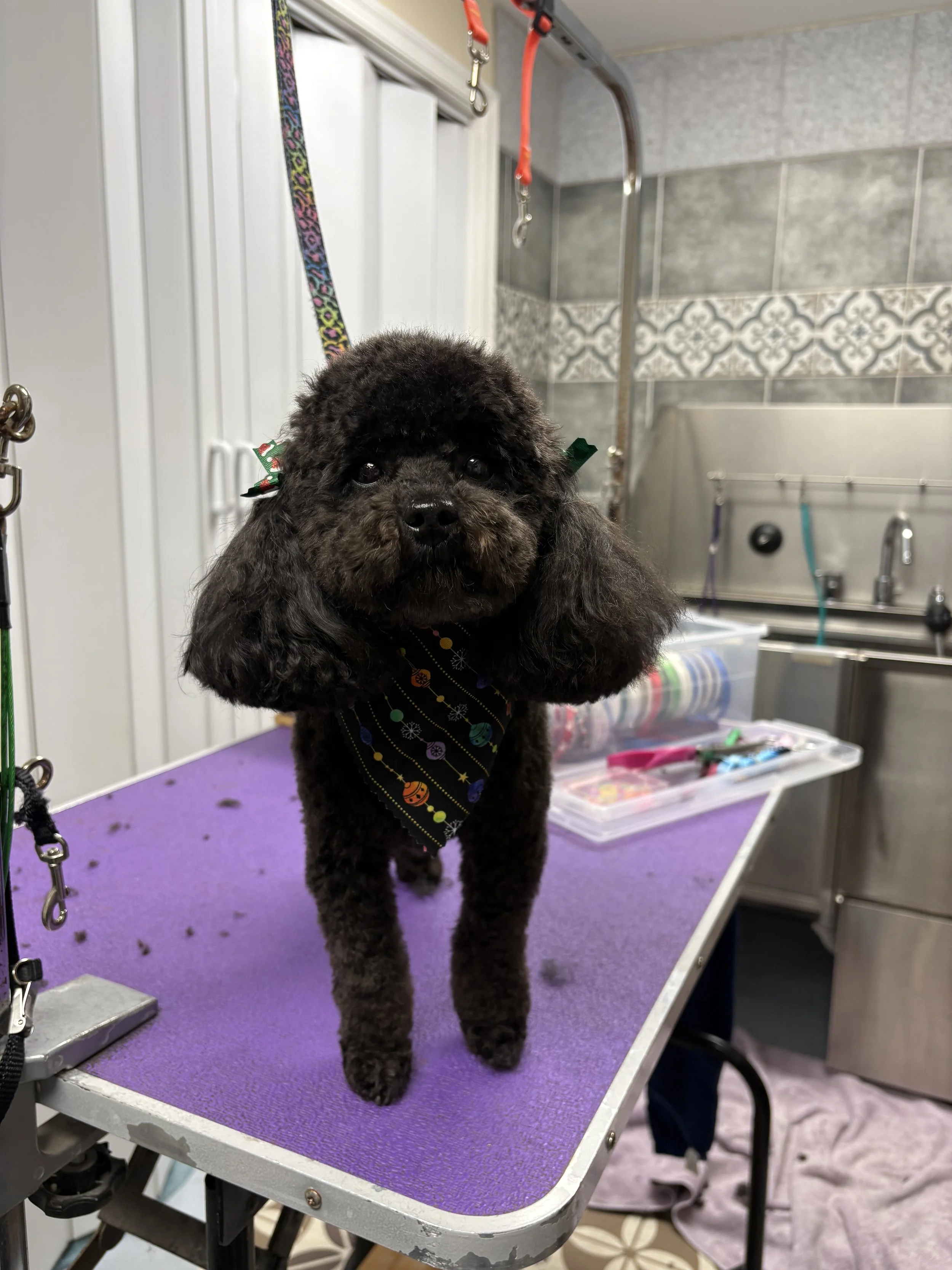 IMG_8802 - Copy.jpeg