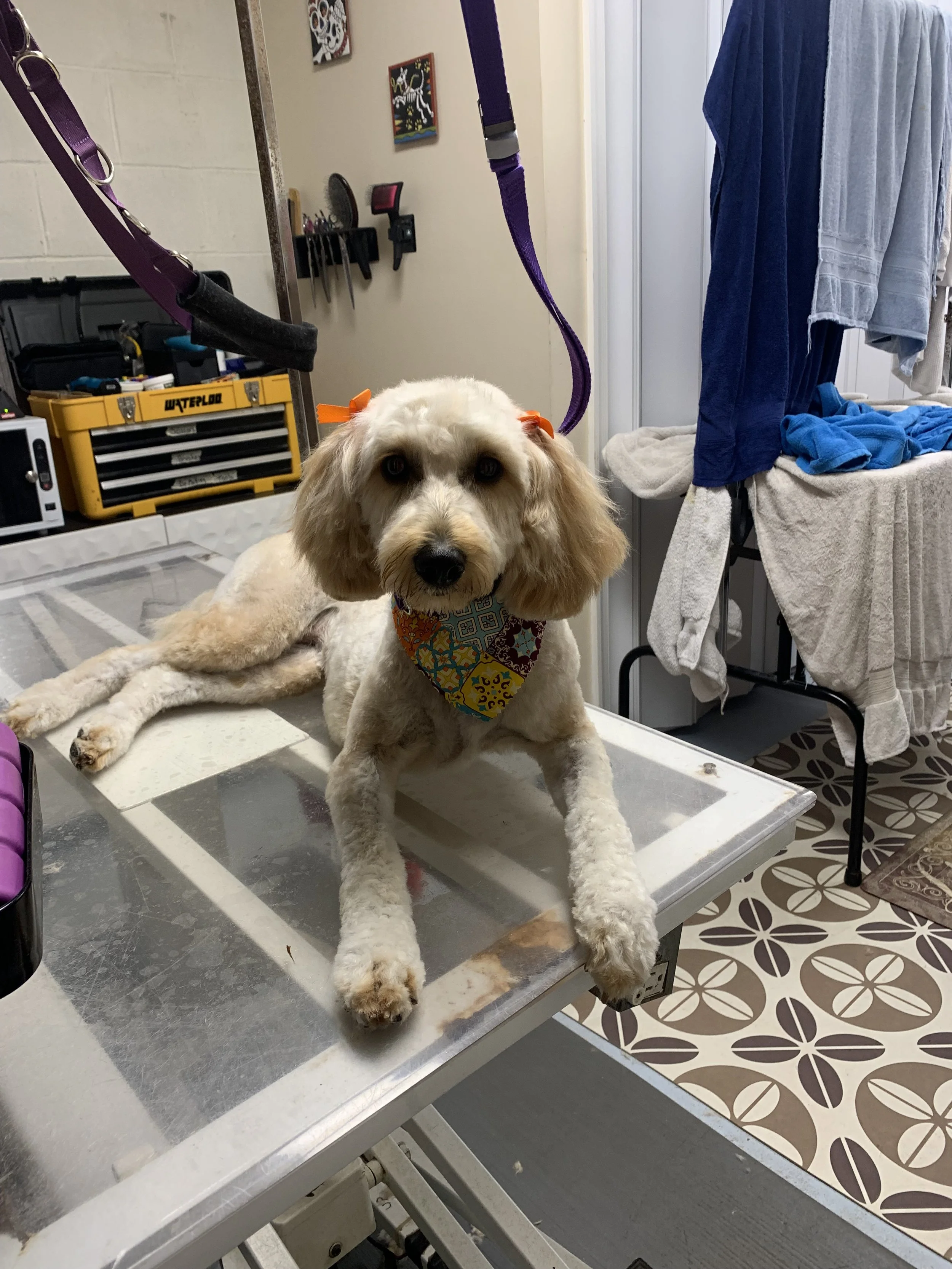 IMG_8121 - Copy.jpeg