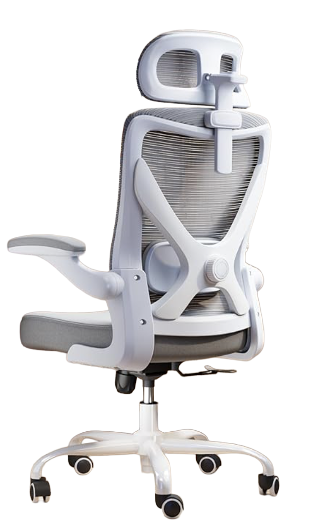 LiberNovo Mesh Chair ($120)
