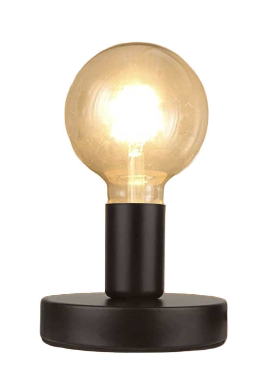 Exposed Bulb Lamp ($15)