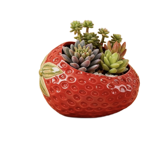 Strawberry Ceramic Succulent Planter ($15)