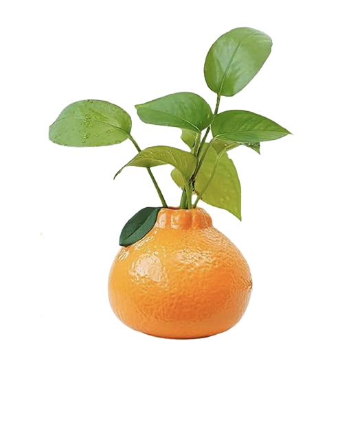 Tangerine Ceramic Flower Vase ($23)