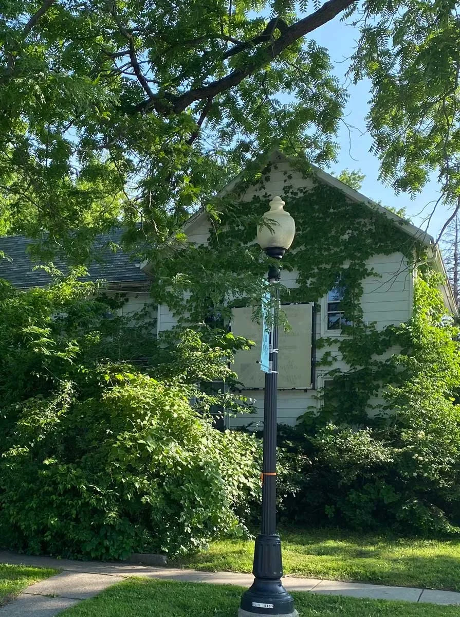 A decorative black street lamp with a frosted glass lantern on top, standing on a grassy area near a sidewalk, with a house and lush green trees in the background.