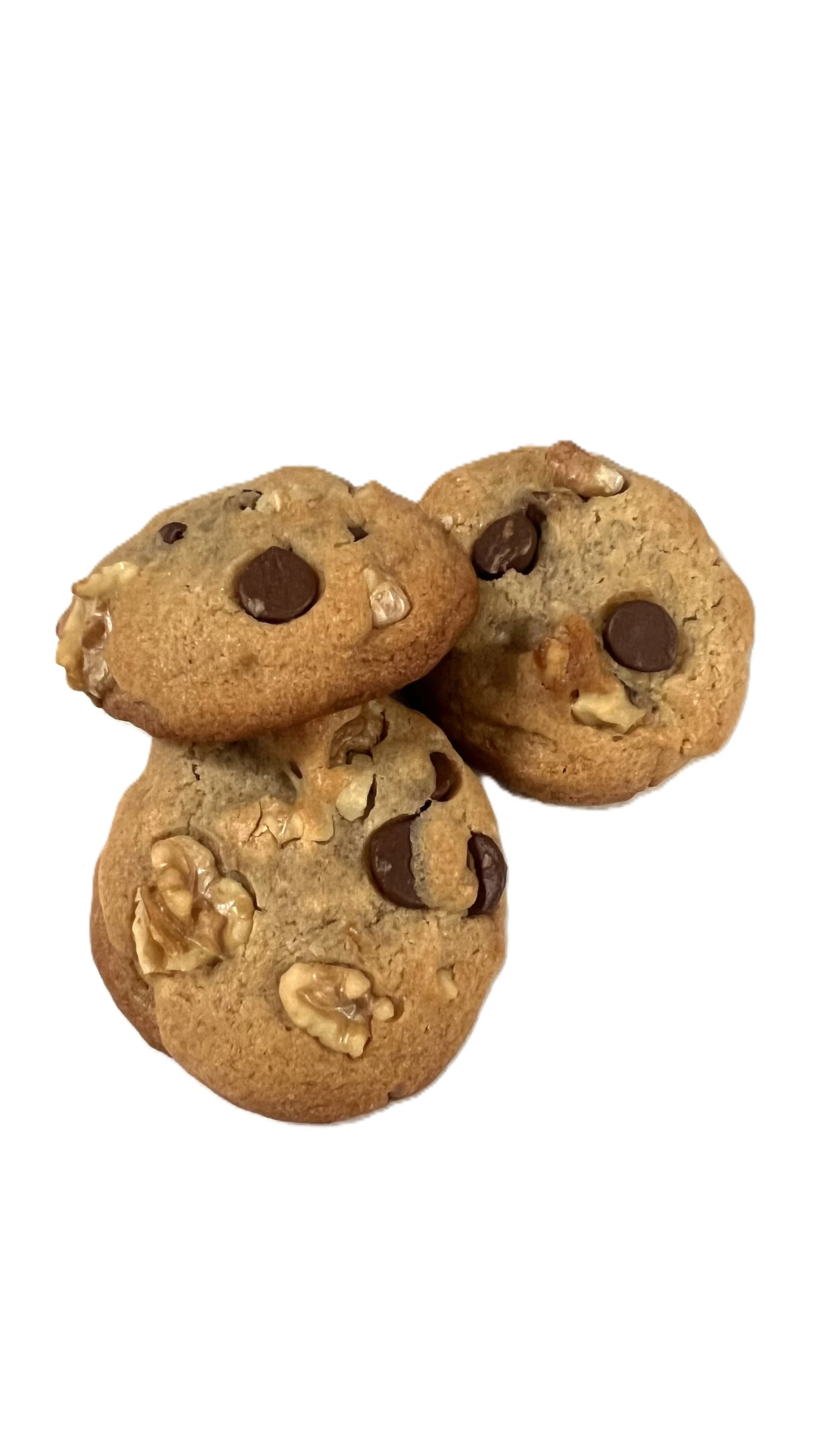 Chocolate Chip Walnut