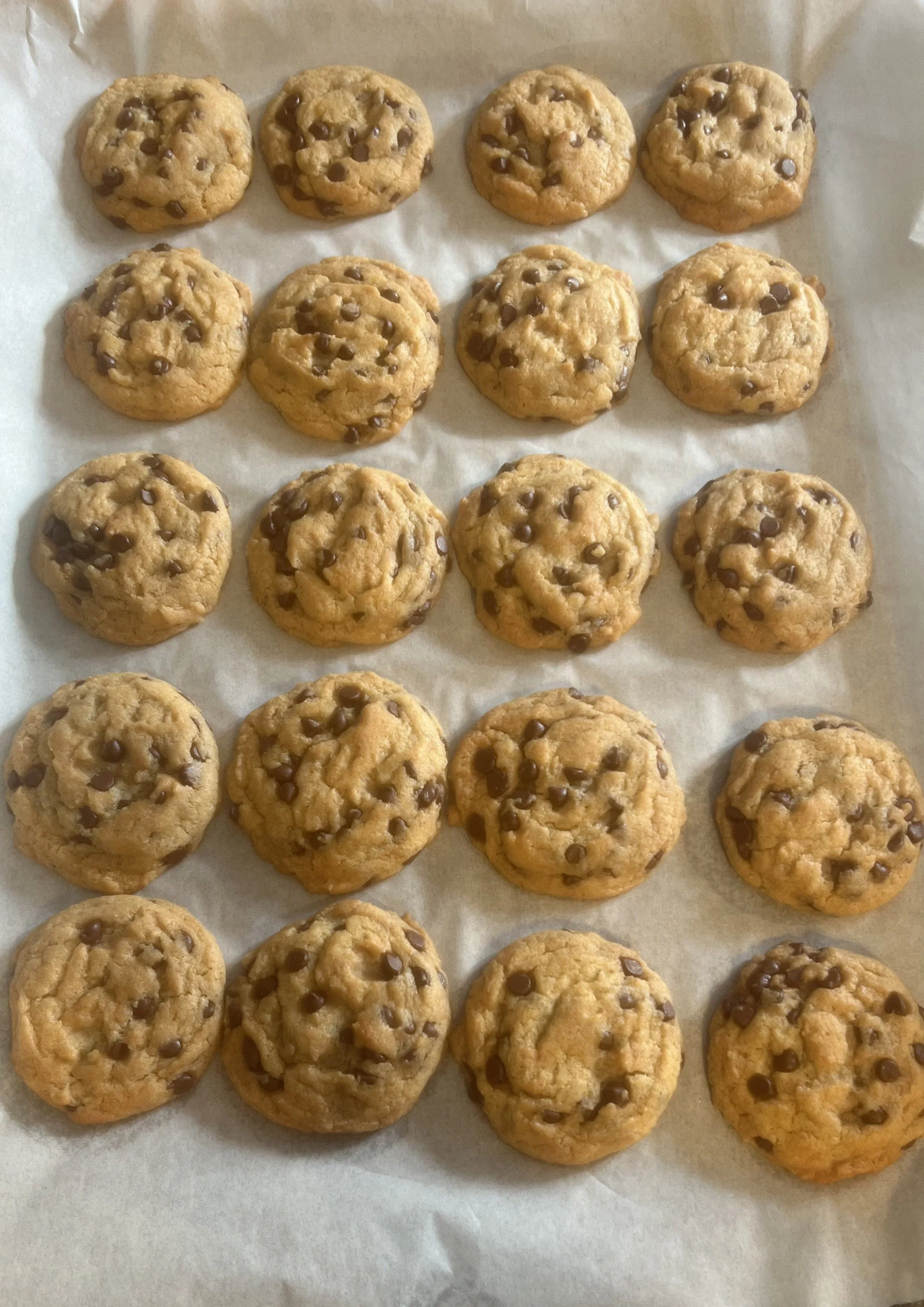 Chocolate Chip Cookies