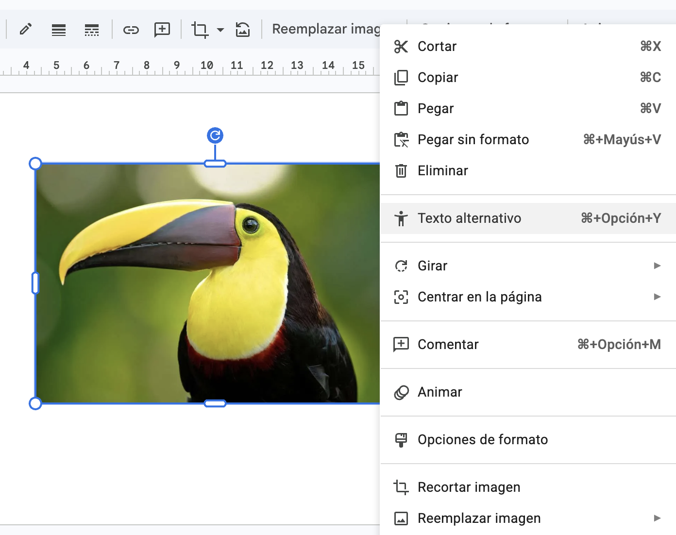 En la imagen vemos la fotografía de un tucán en una presentación de Google Slides, con el menú abierto mostrando la opción Texto alternativo
