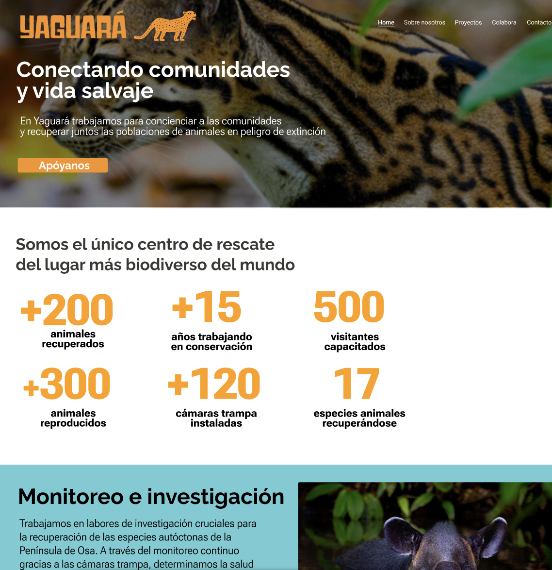 Cabecera de la web de Yaguará, un santuario de vida silvestre en Costa Rica