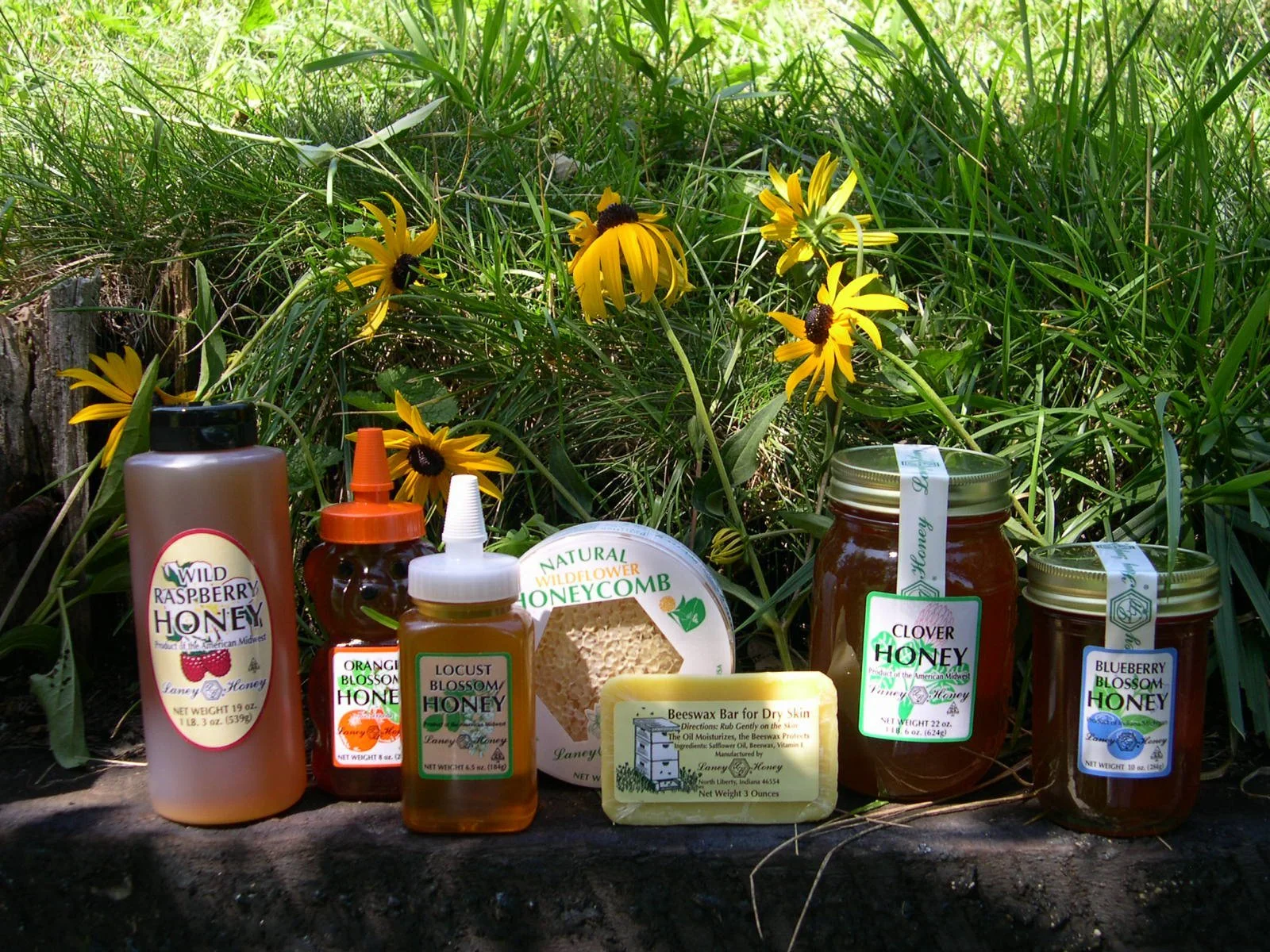 Collection of honey products including raspberry, orange blossom, locust blossom, clover, and blueberry blossom honey jars, along with honeycomb, beeswax bar, and flower in a natural outdoor setting with yellow flowers in the background.