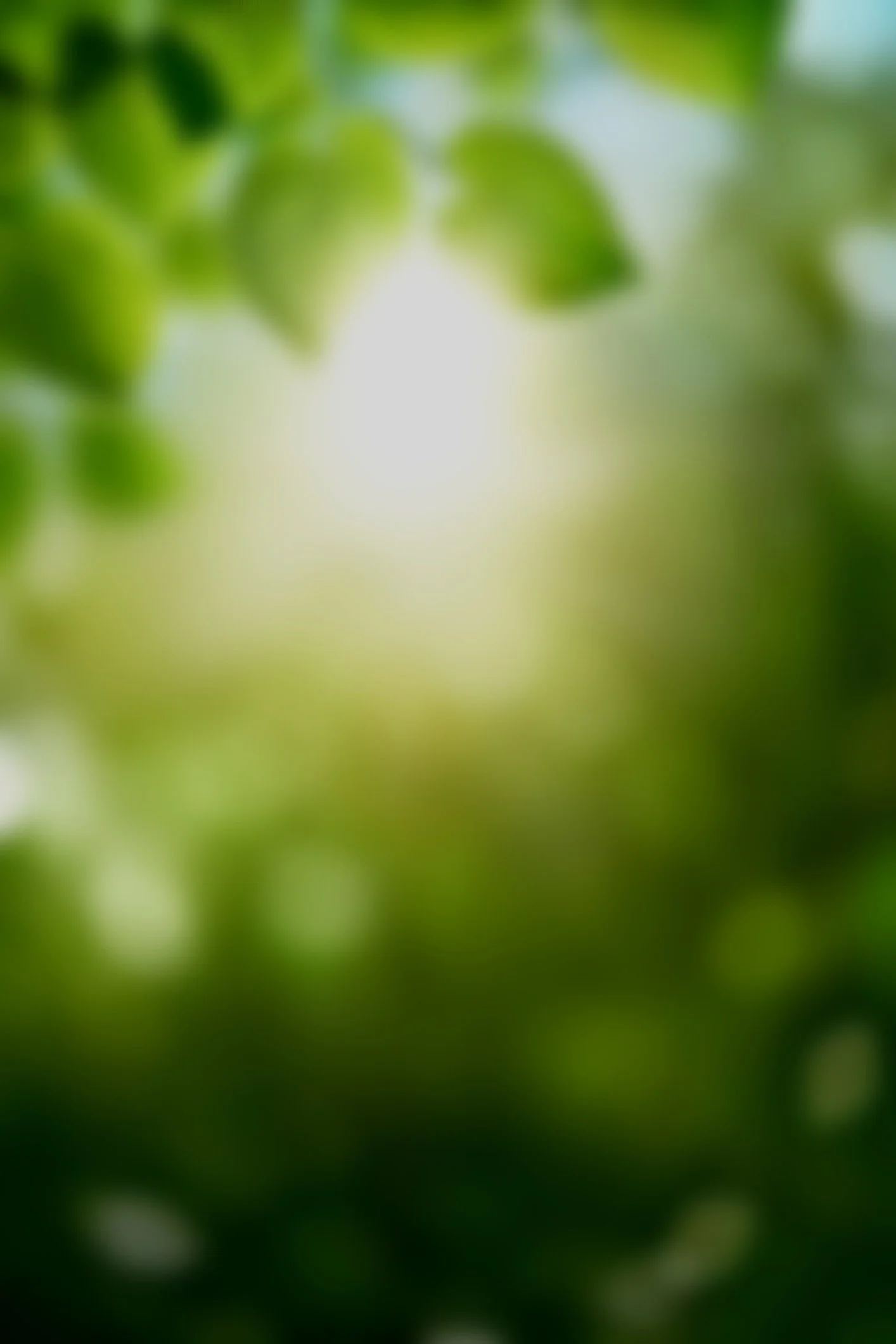 Blurred close-up view of green leaves and foliage.