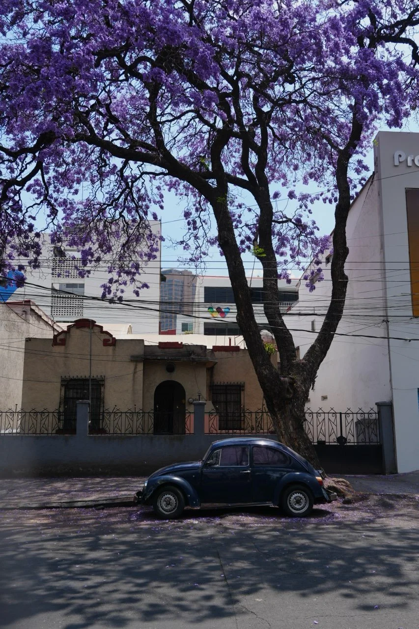 DSC01032.jpeg