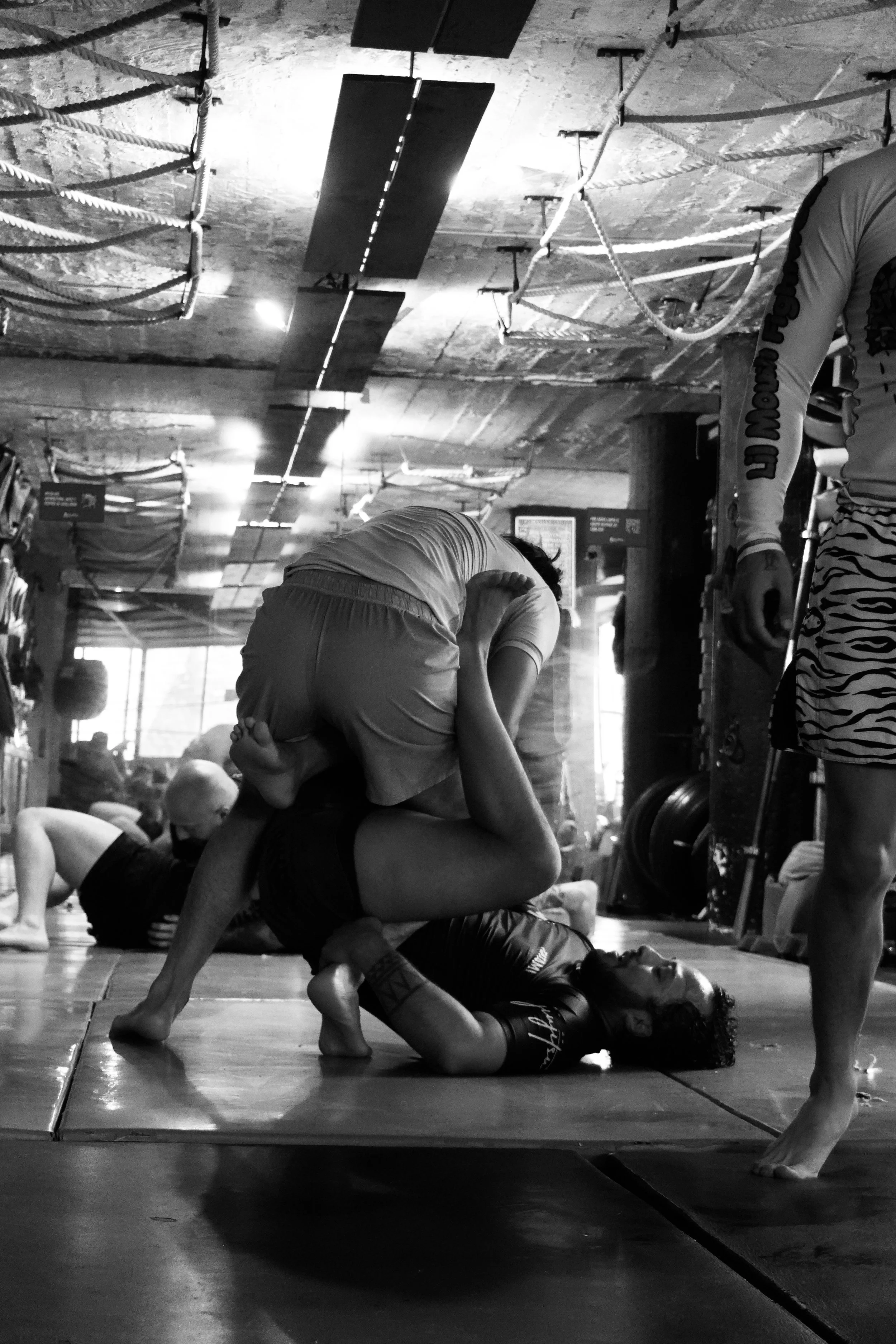 DSC01042.jpeg