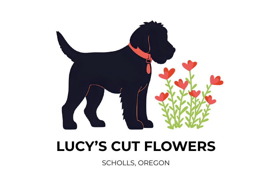 Lucy's Cut Flowers 