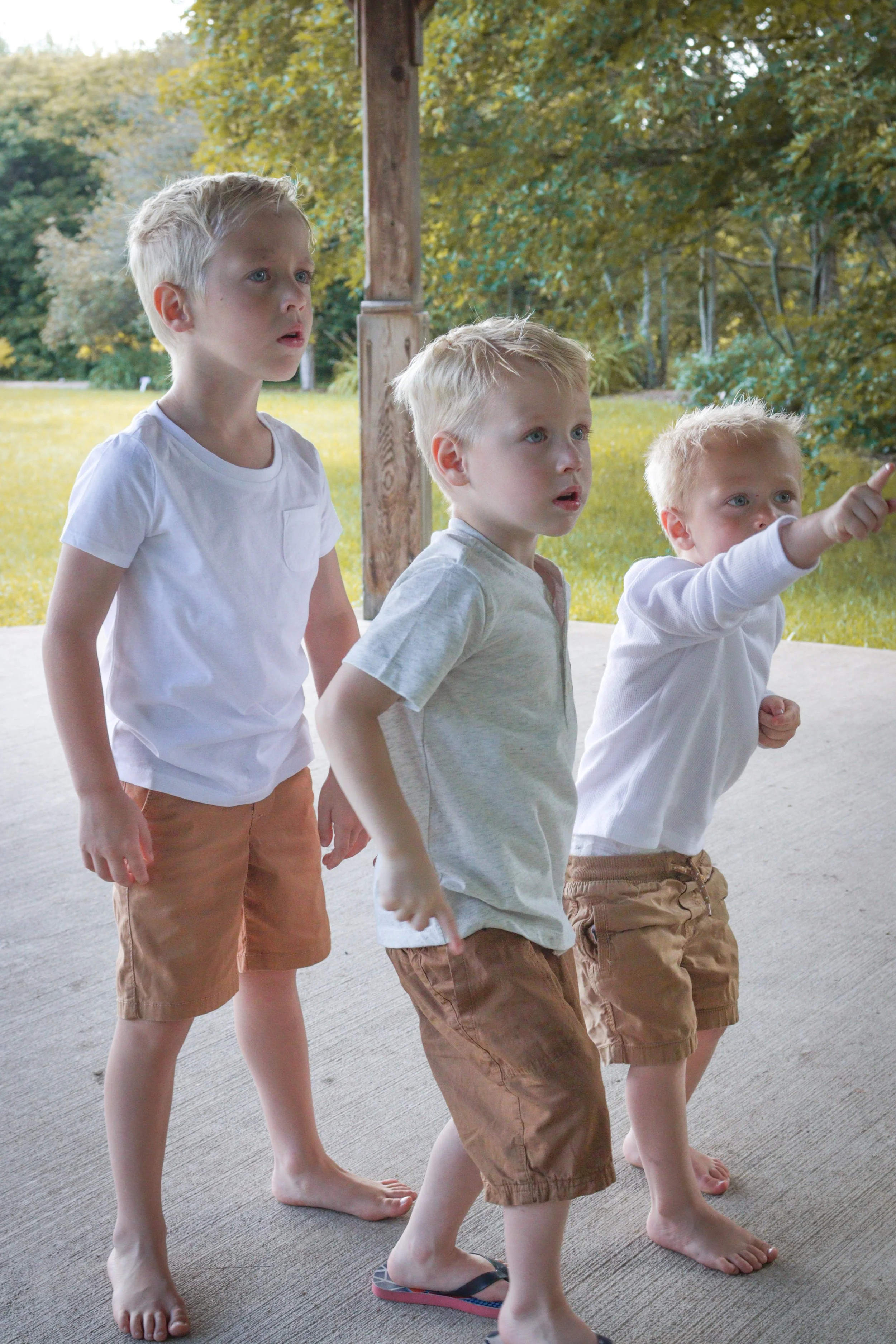 Three young boys with blonde hair and casual clothing standing outside under a wooden shelter, pointing and looking at something in surprise or curiosity.