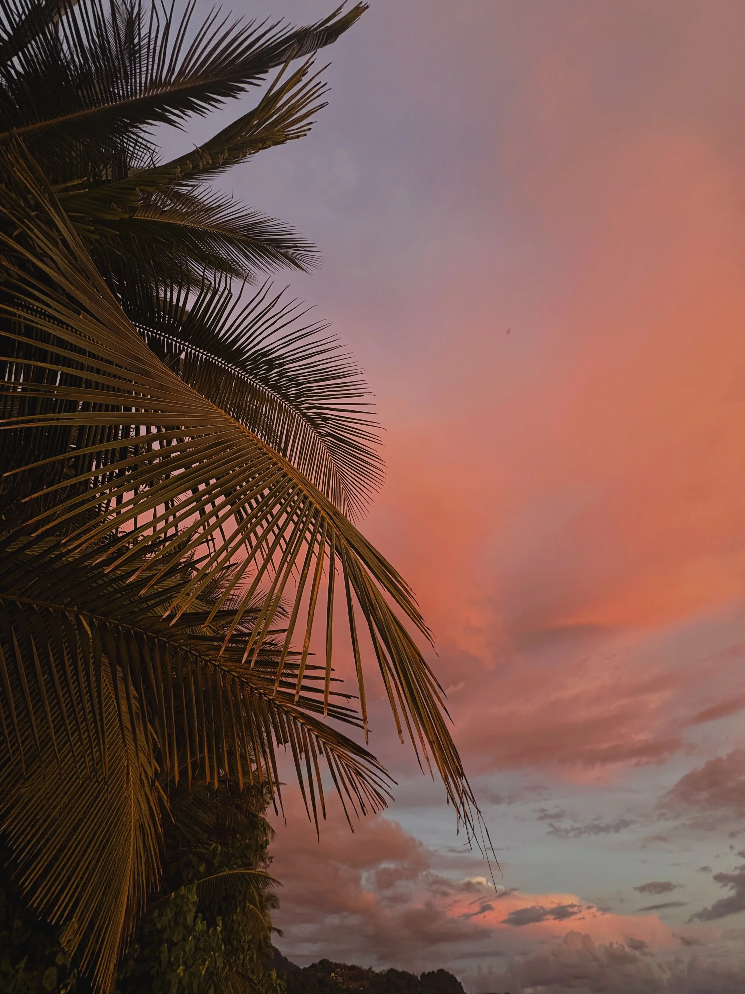 Sunset sky with shades of pink, purple, and orange, with palm trees silhouetted in the foreground.