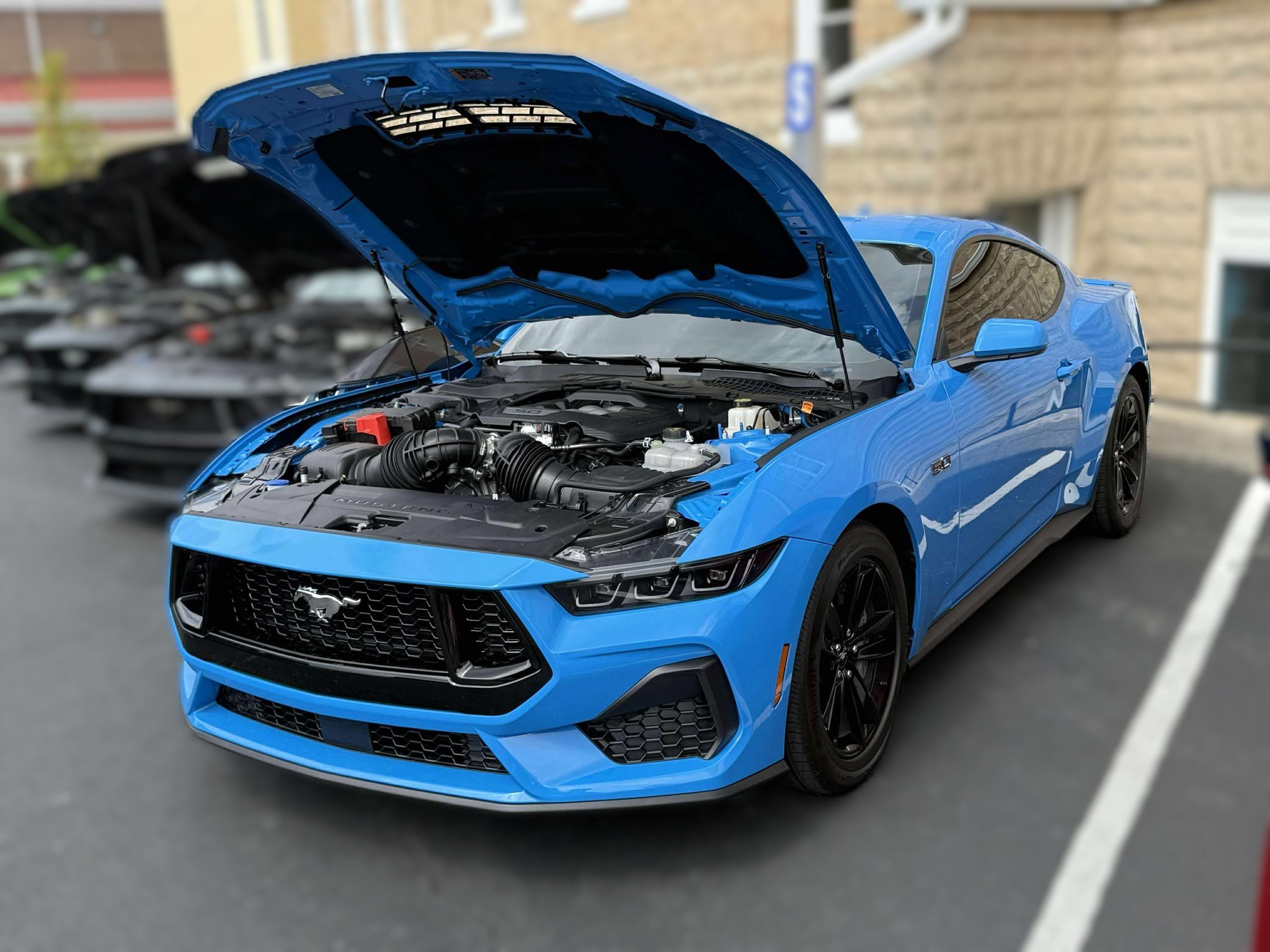 Coyote Bolt on Package - Phase 1