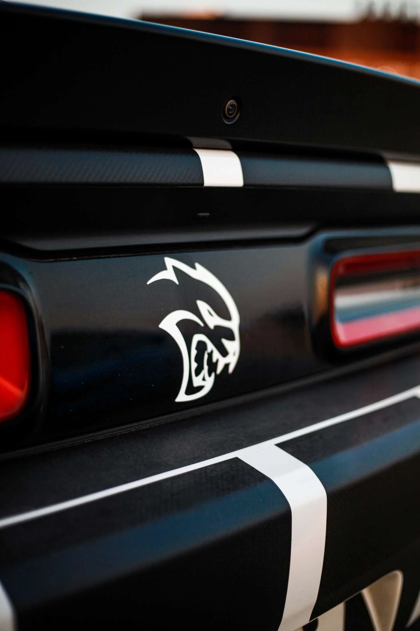 Close-up of a black sports car with a white stripe on the trunk, featuring a white dragon decal and a rear taillight.