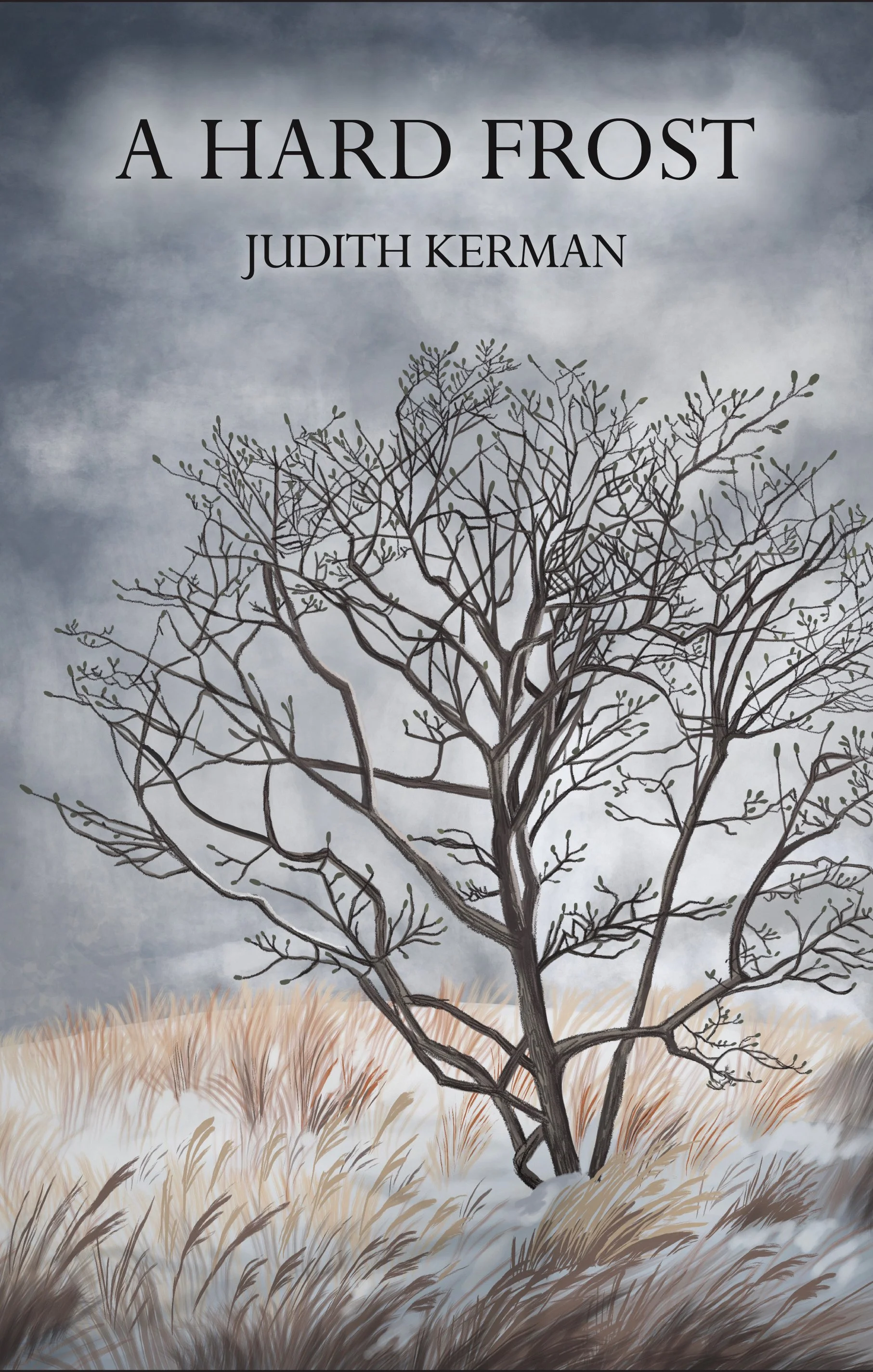 The Iron in My Blood: Judith Kerman’s A Hard Frost