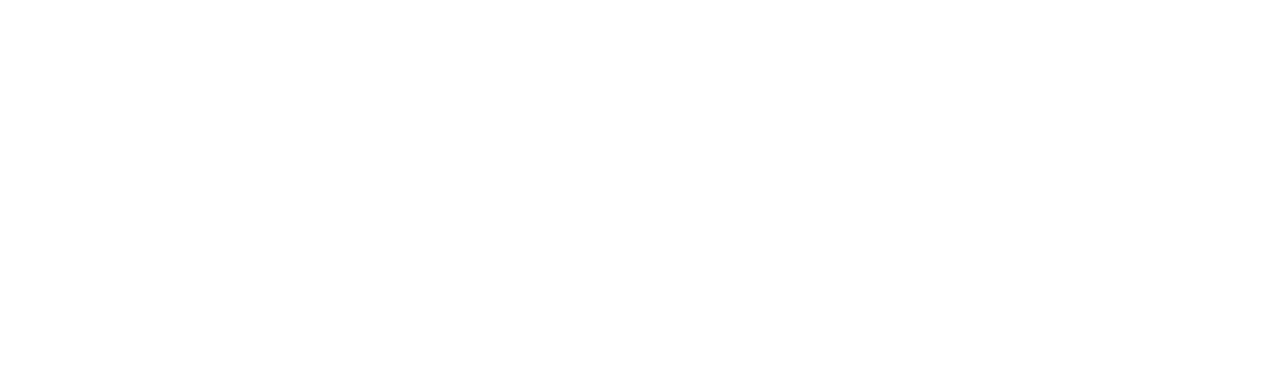A black logo with a white silhouette of a lion walking on a line above the text 'The Wildcat Sanctuary,' with a small decorative leaf below.