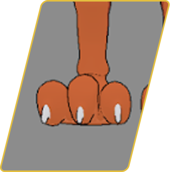 Close-up illustration of a dog paw showing in a cartoon style.