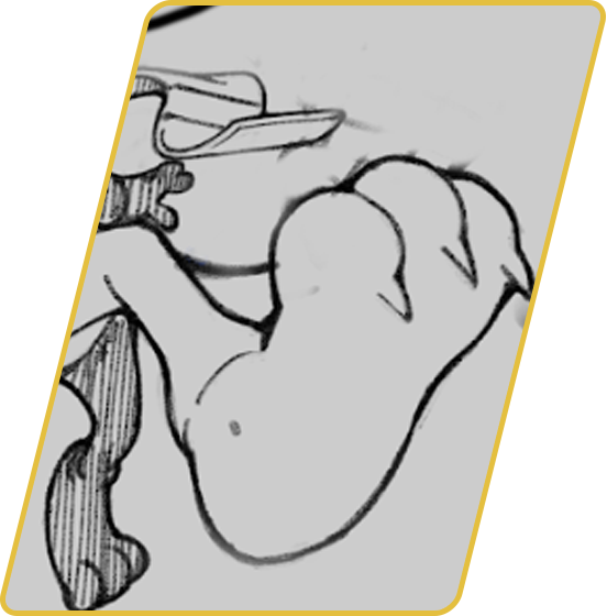 bubsypaws 5.png