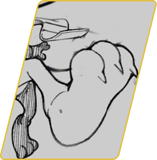 Cartoon drawing of a person brushing their teeth with a toothbrush, with a close-up on their arm and face.