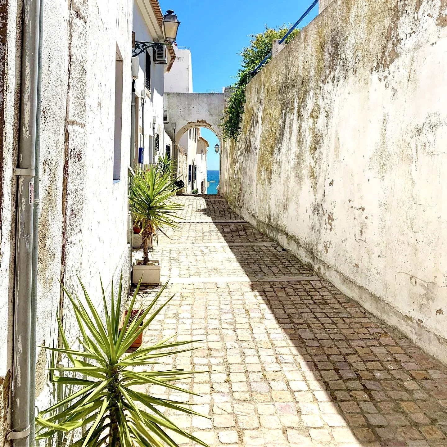 A narrow cobblestone alleyway in The Algarve with white buildings on the left and a tall, weathered white wall on the right. Potted plants line the alley, and a view of the blue sky and ocean is visible through an arch at the end of the alley.