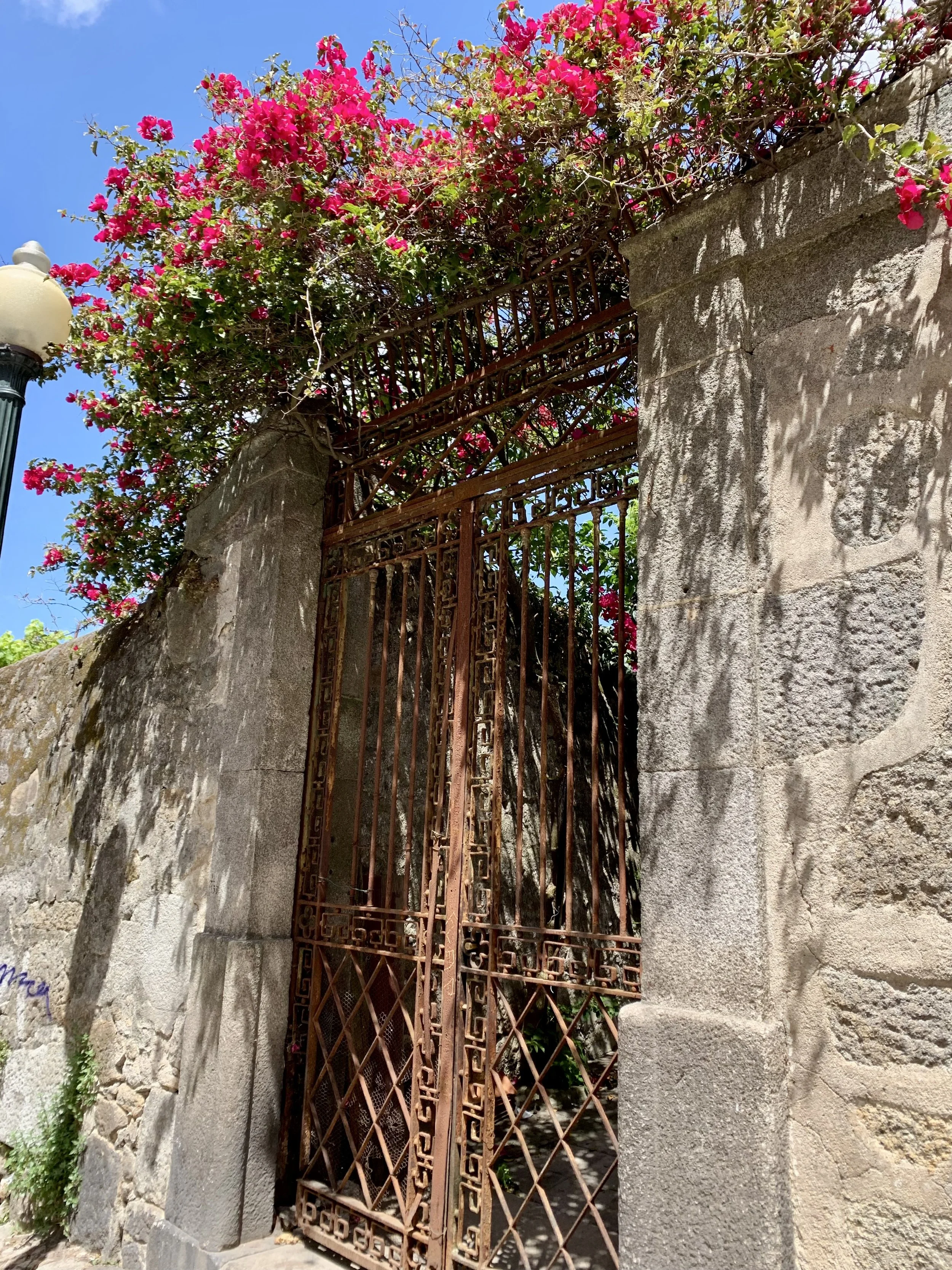 An old metal gate with intricate patterns, partially open, set within a stone wall. Bright pink bougainvillea flowers and green foliage grow over the top of the gate, with a clear blue sky in the background.