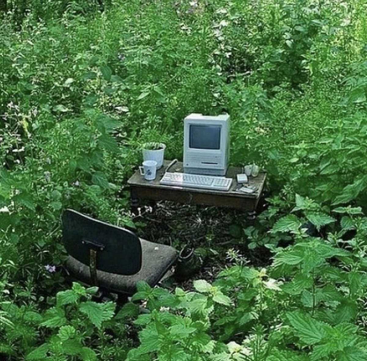 Virtual Art Breaking 