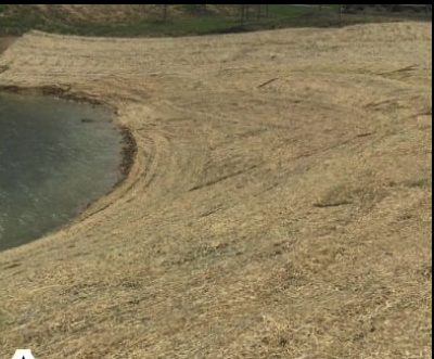 Screenshot 2026-03-16 at 3.04.03 PM.png