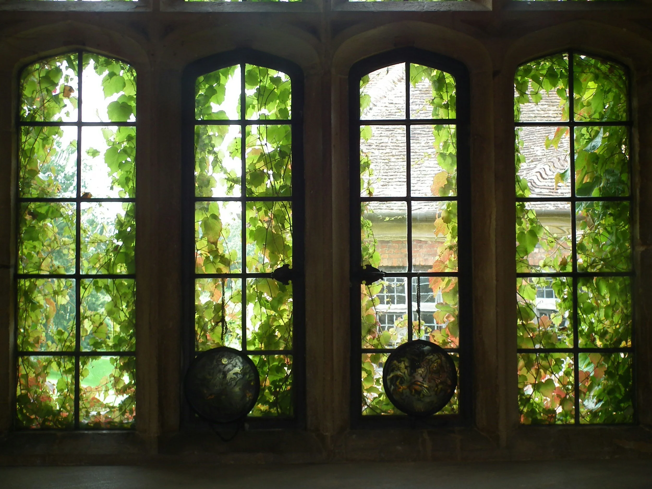 Tall arched windows framed with black metal panes, covered in green climbing vines with a view of a tiled roof and brick building outside.