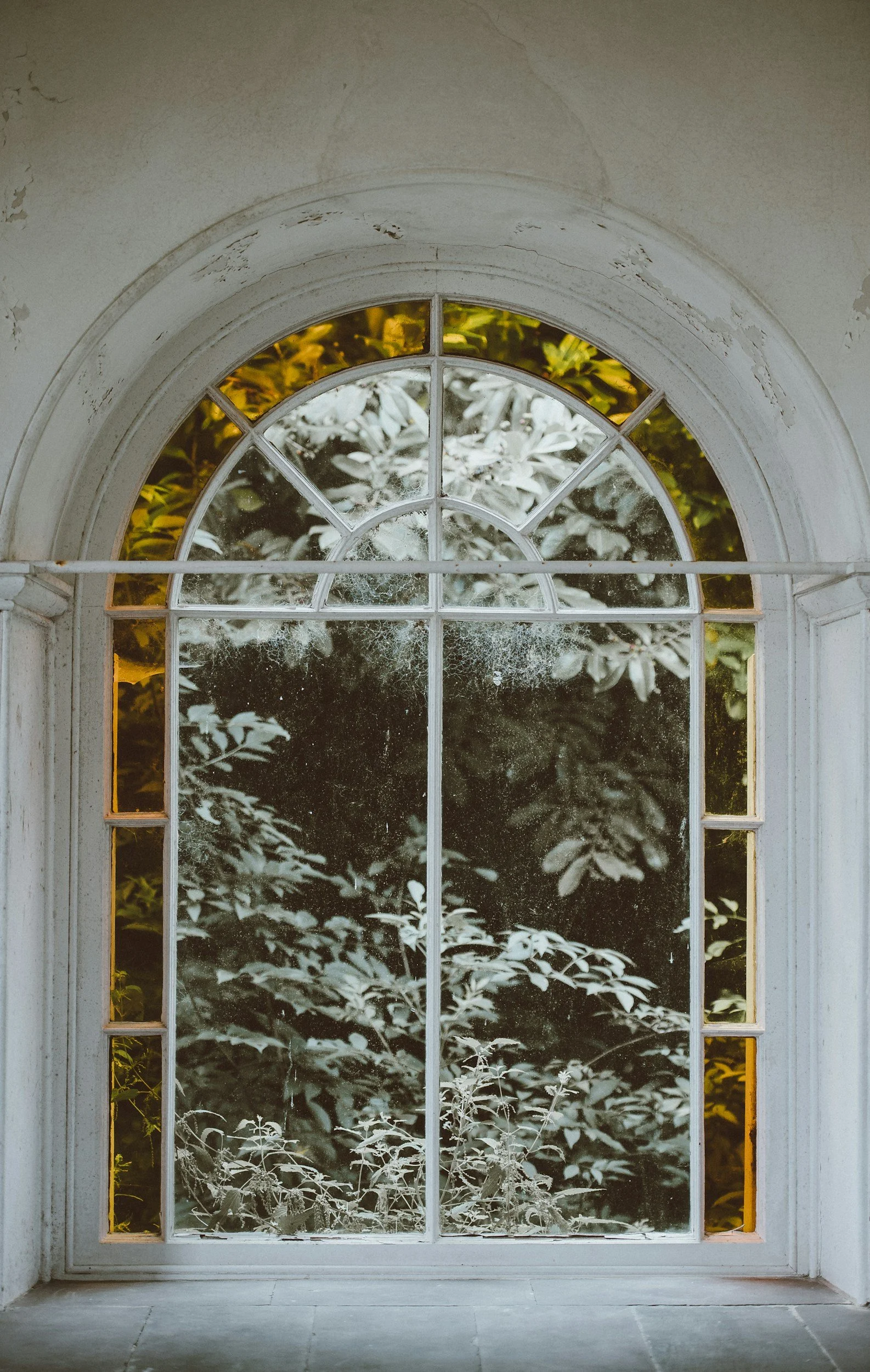 Large arched window with white framing and yellow side panels, looking out onto dense green foliage with light filtering through the leaves.