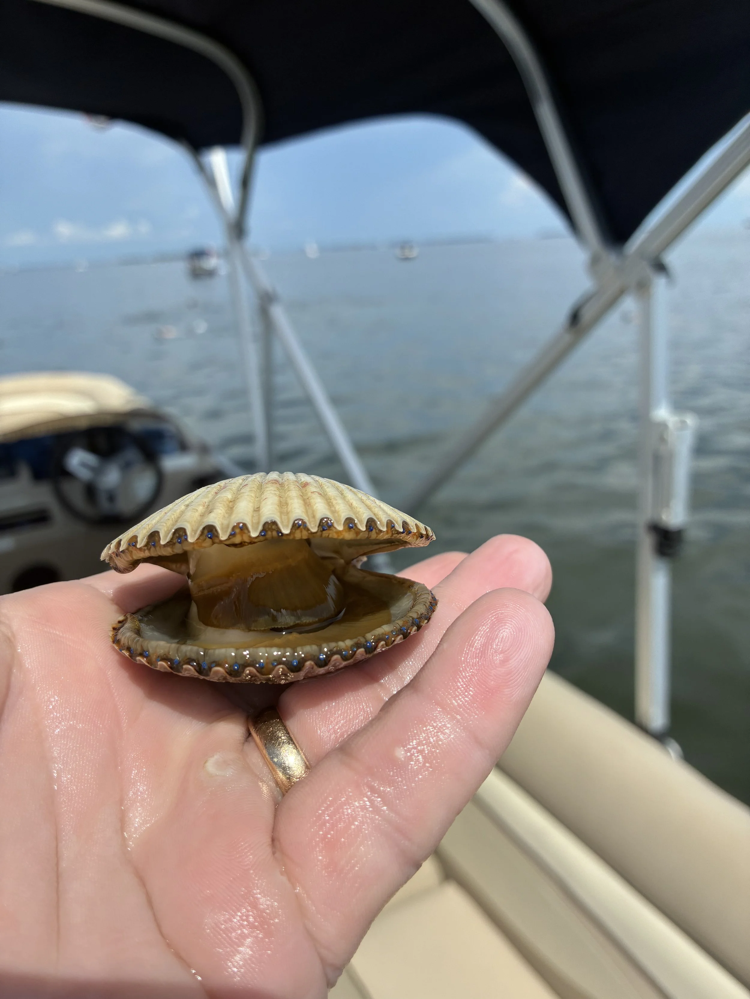 IMG_0688.jpeg
