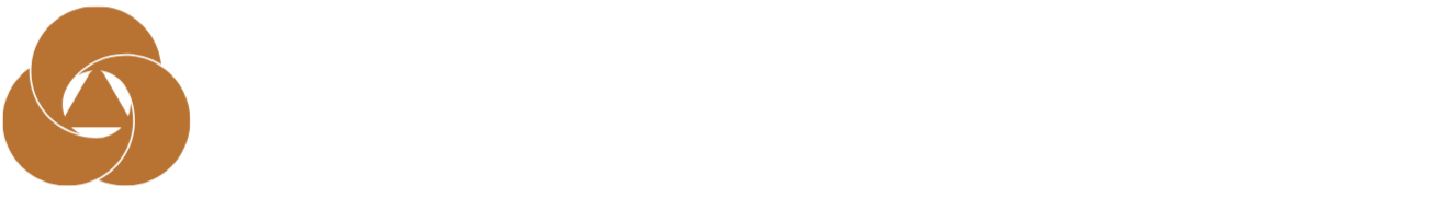 Continuous AI