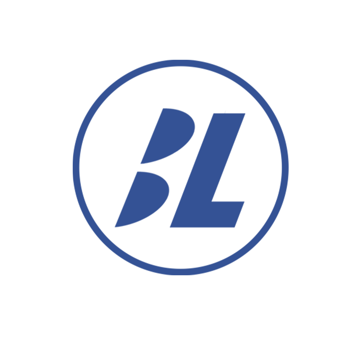 BLou.Designs 