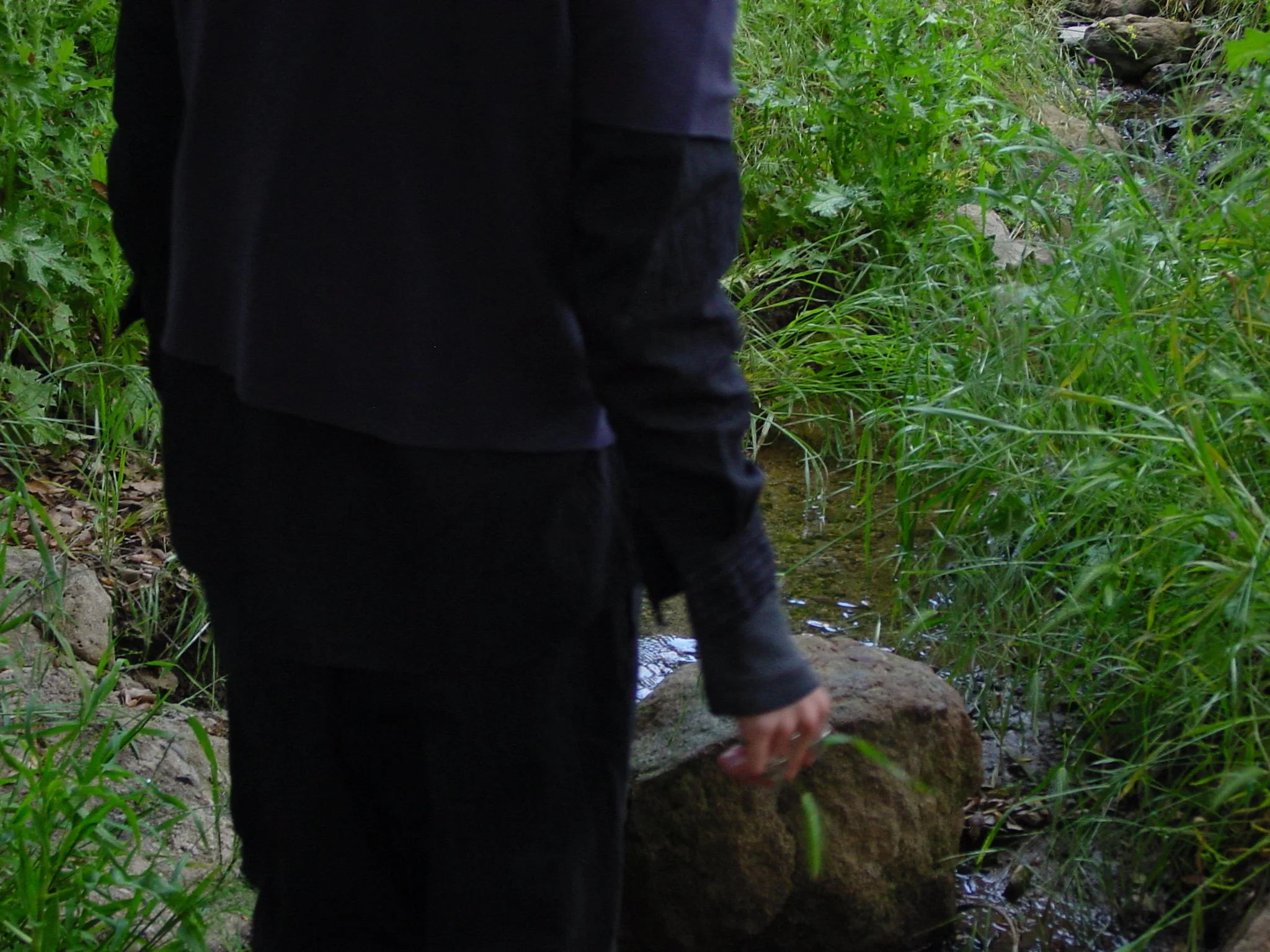 DSC00046.JPG