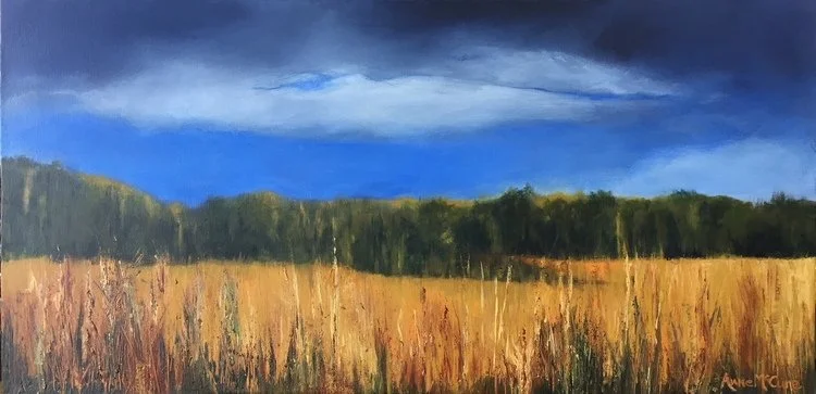 Early Walk  Acrylic (15x30)  $500