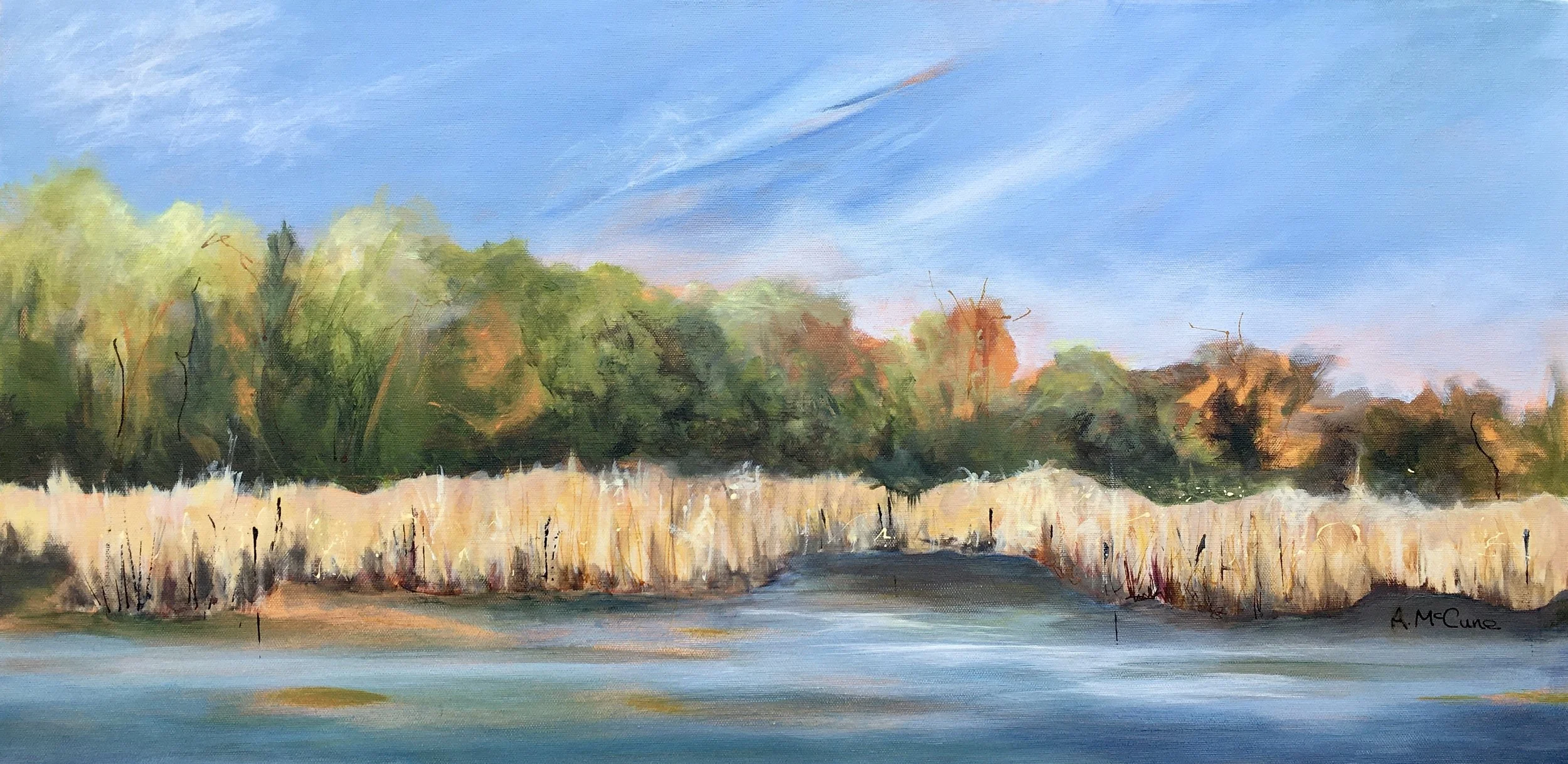 From the Boardwalk  Acrylic (15x30)  $450