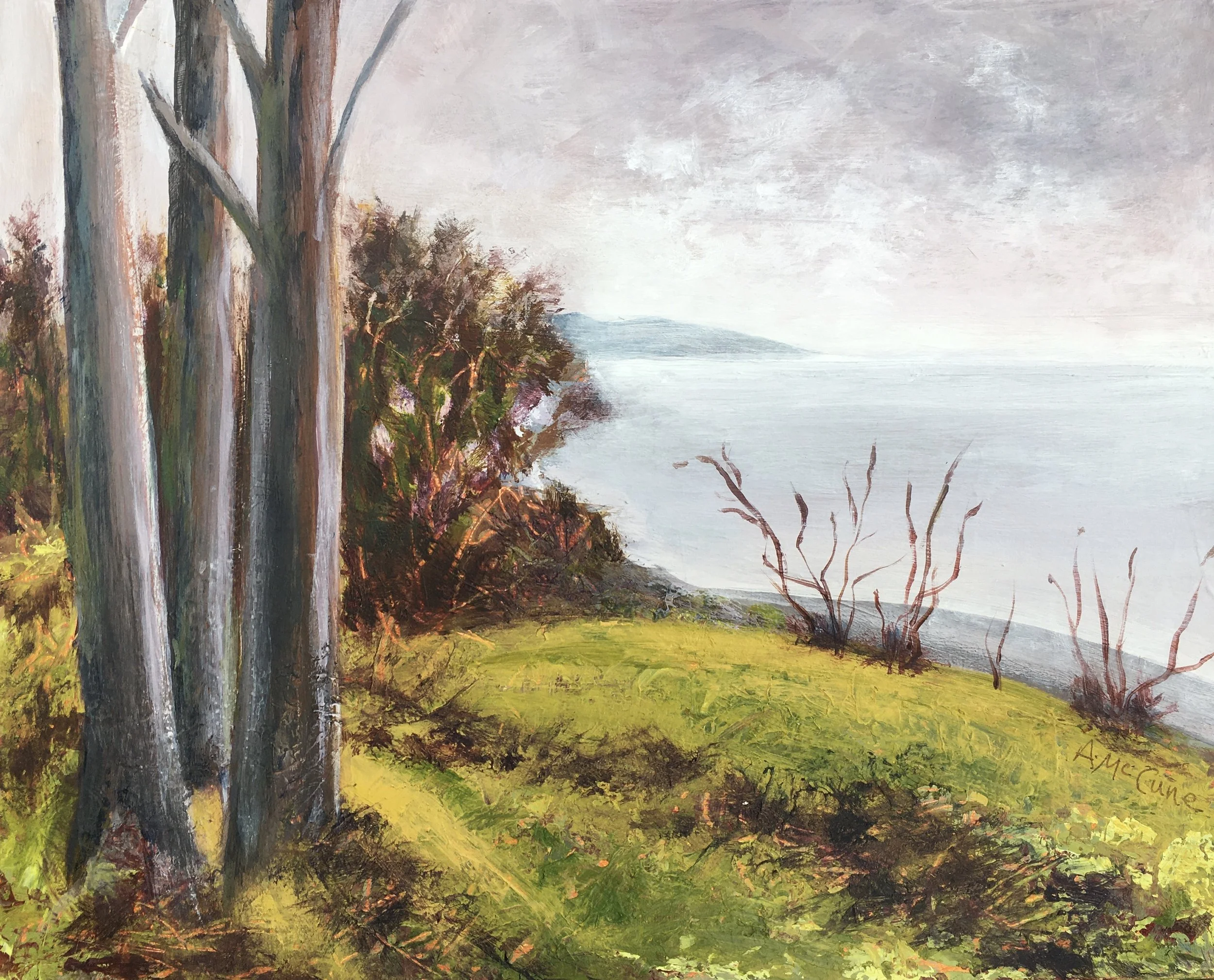 Lake Ontario from Parking Lot D  Acrylic (8x10)  $170