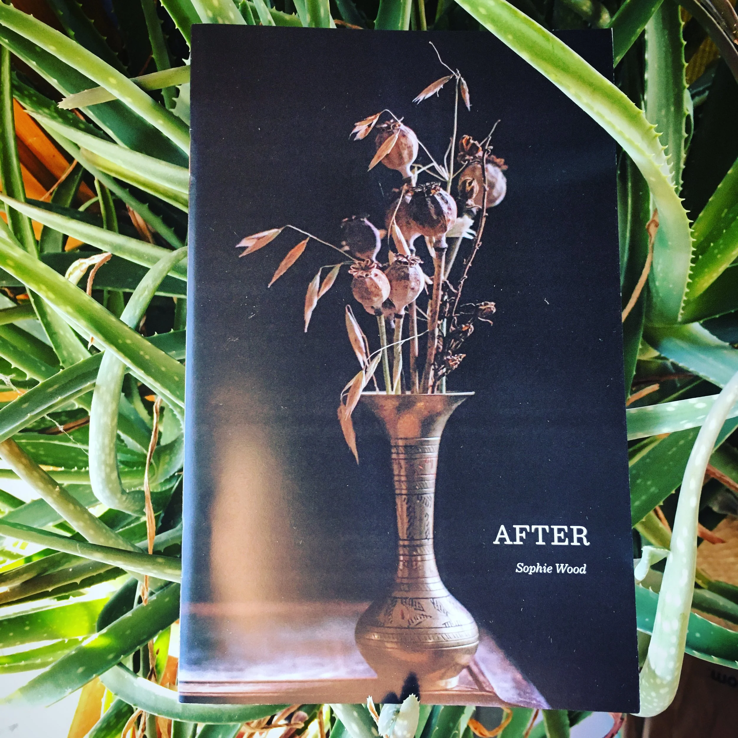 After, a poetry collection